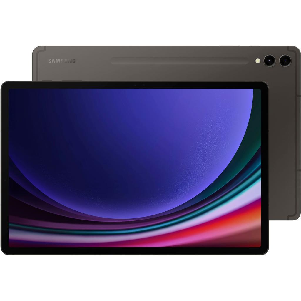 Galaxy Tab S9+ 512GB - Gray - (Wi-Fi) Refurbished - Samsung refurbished available on Backmarket