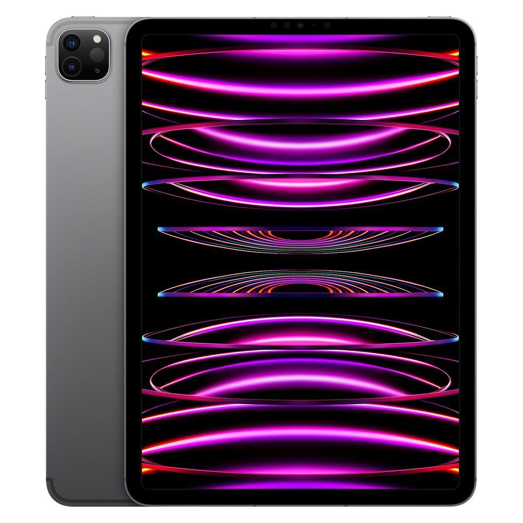 iPad Pro 11-inches (2022) 4th gen 256 GB - Wi-Fi + 5G - Space Gray Refurbished - Apple refurbished available on Backmarket