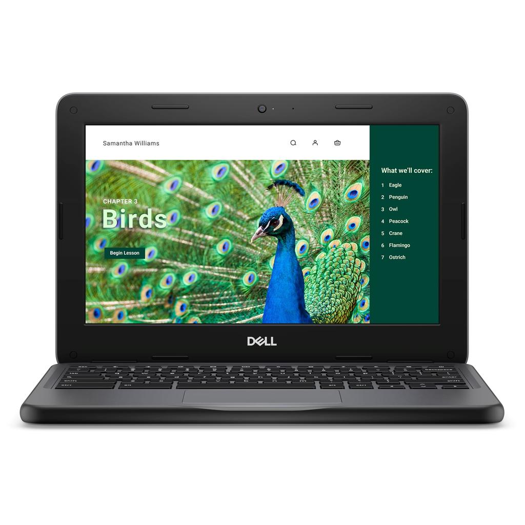 Dell Chromebook 3120 N100 0.8 GHz 64 GB eMMC - 4 GB Reconditionné - Dell refurbished available on Backmarket