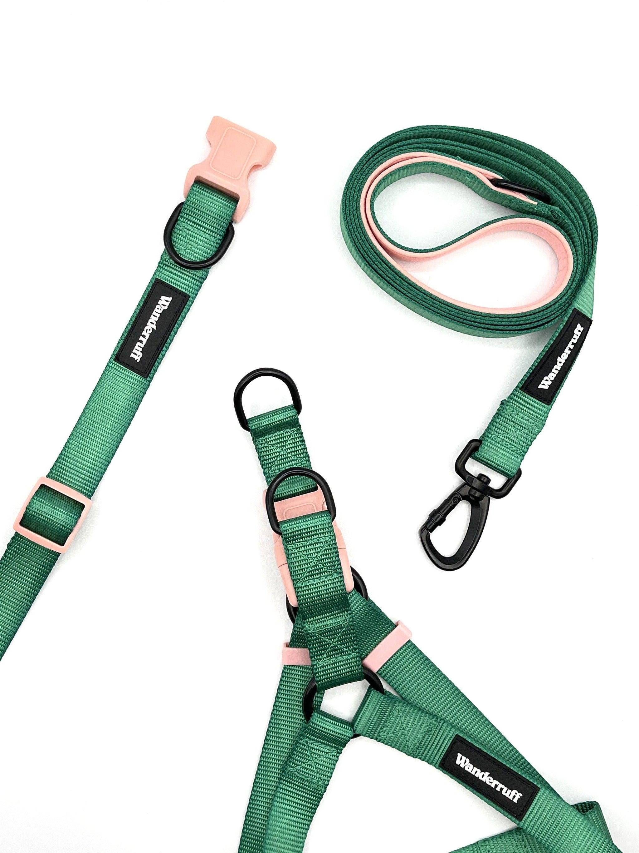 Lola Walk Kit | Collar Size: S | Harness Size: L | Leash Width: M/L(1"") Refurbished - N/A refurbished available on Cerqular