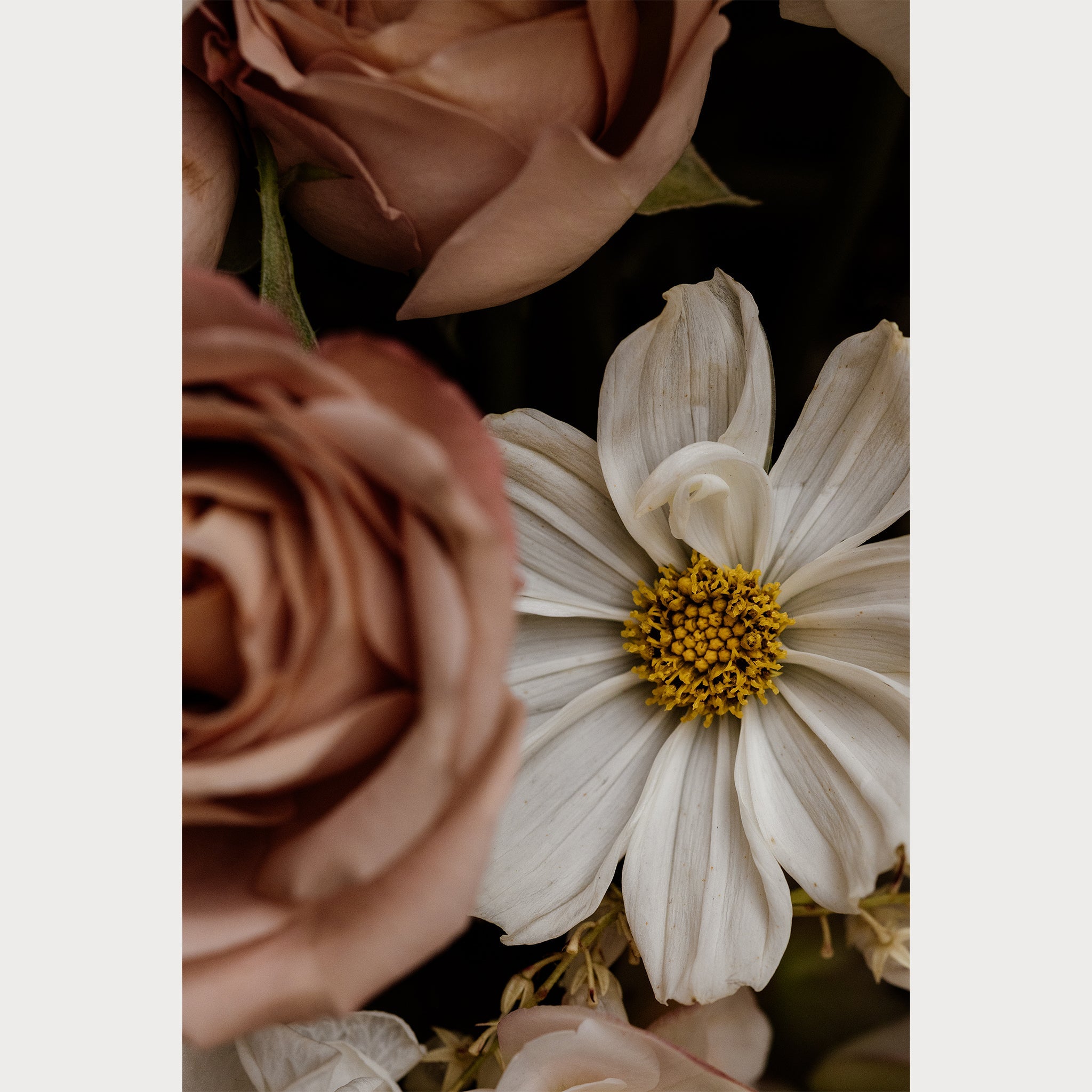 Love Letter - 7 | Size: 16"" x 24"" Refurbished - Teolai Design refurbished available on Cerqular