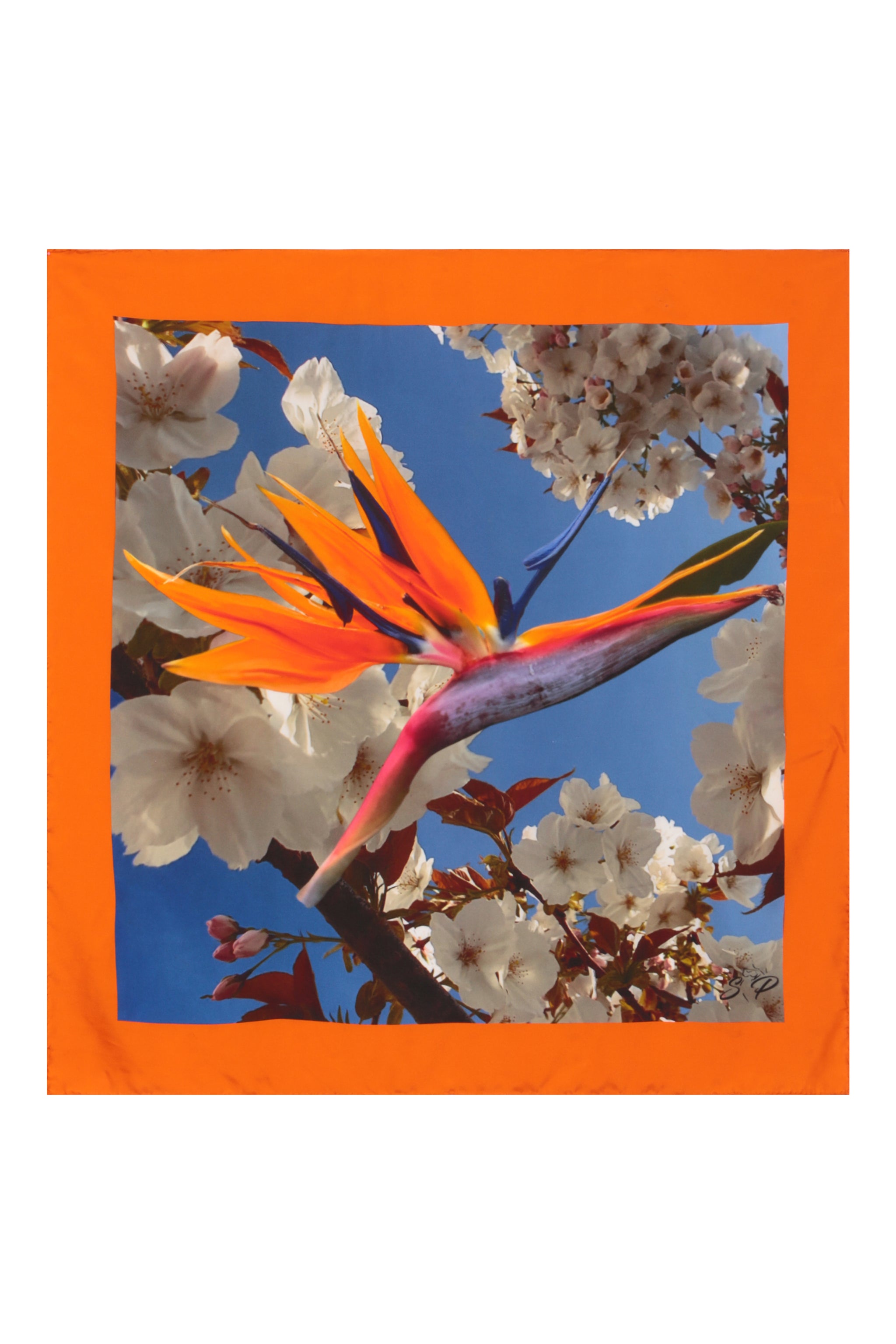 Silk Scarf Unisex – Bird of Paradise Floral Print, Gift Box Included | Color: Cherry Blossom | Material: Silk Refurbished - N/A refurbished available on Cerqular
