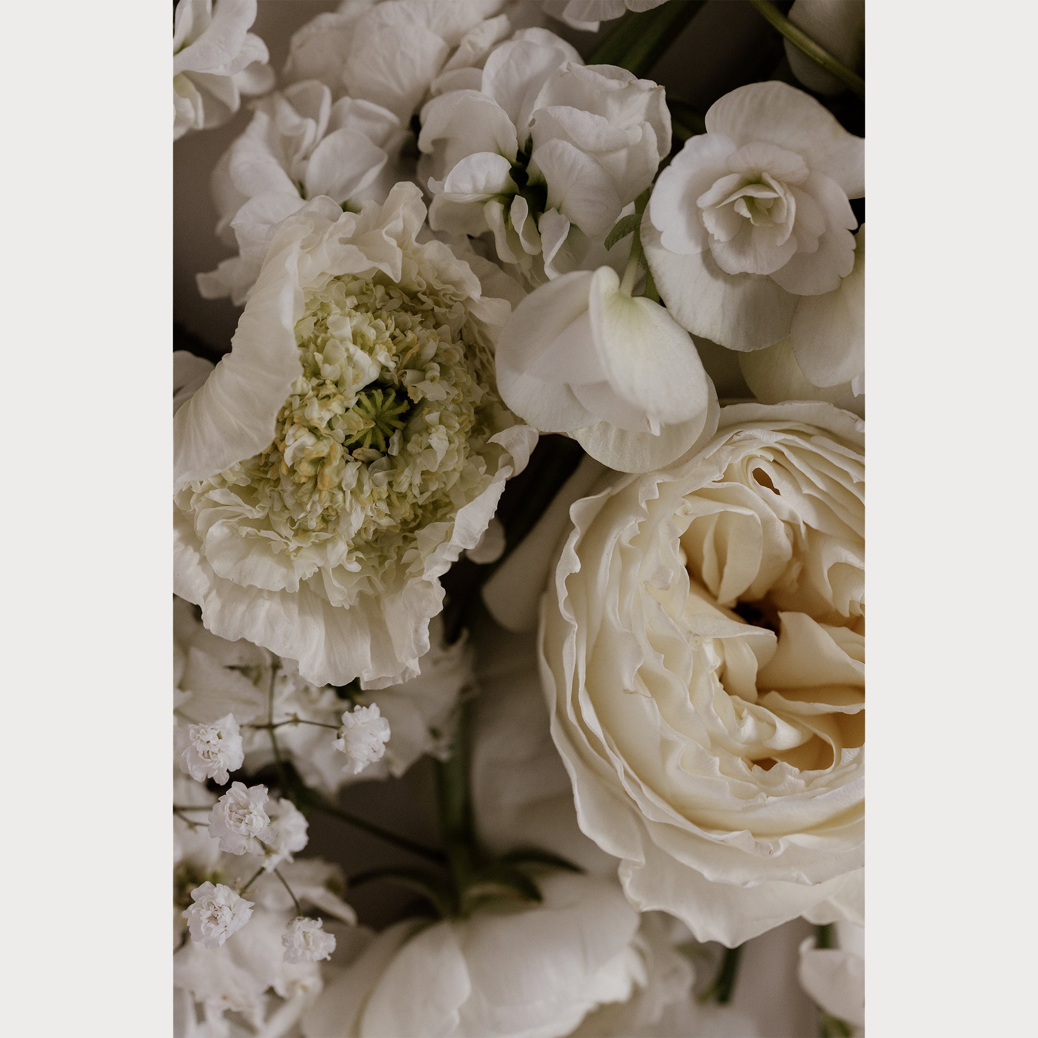 Love Letter - 4 | Size: 16"" x 24"" Refurbished - Teolai Design refurbished available on Cerqular