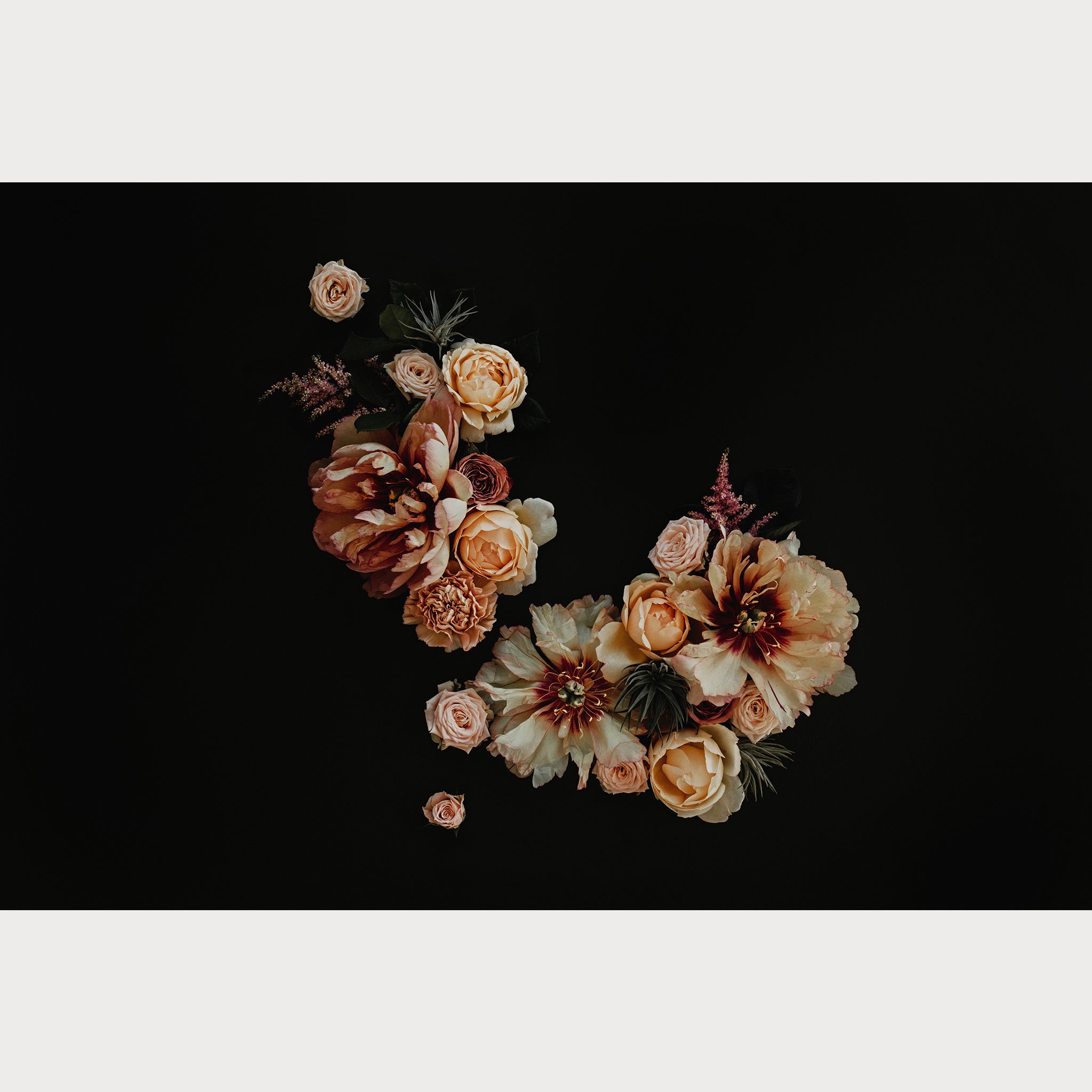 Founders Collection - 3 | Size: 30"" x 40"" Refurbished - Teolai Design refurbished available on Cerqular