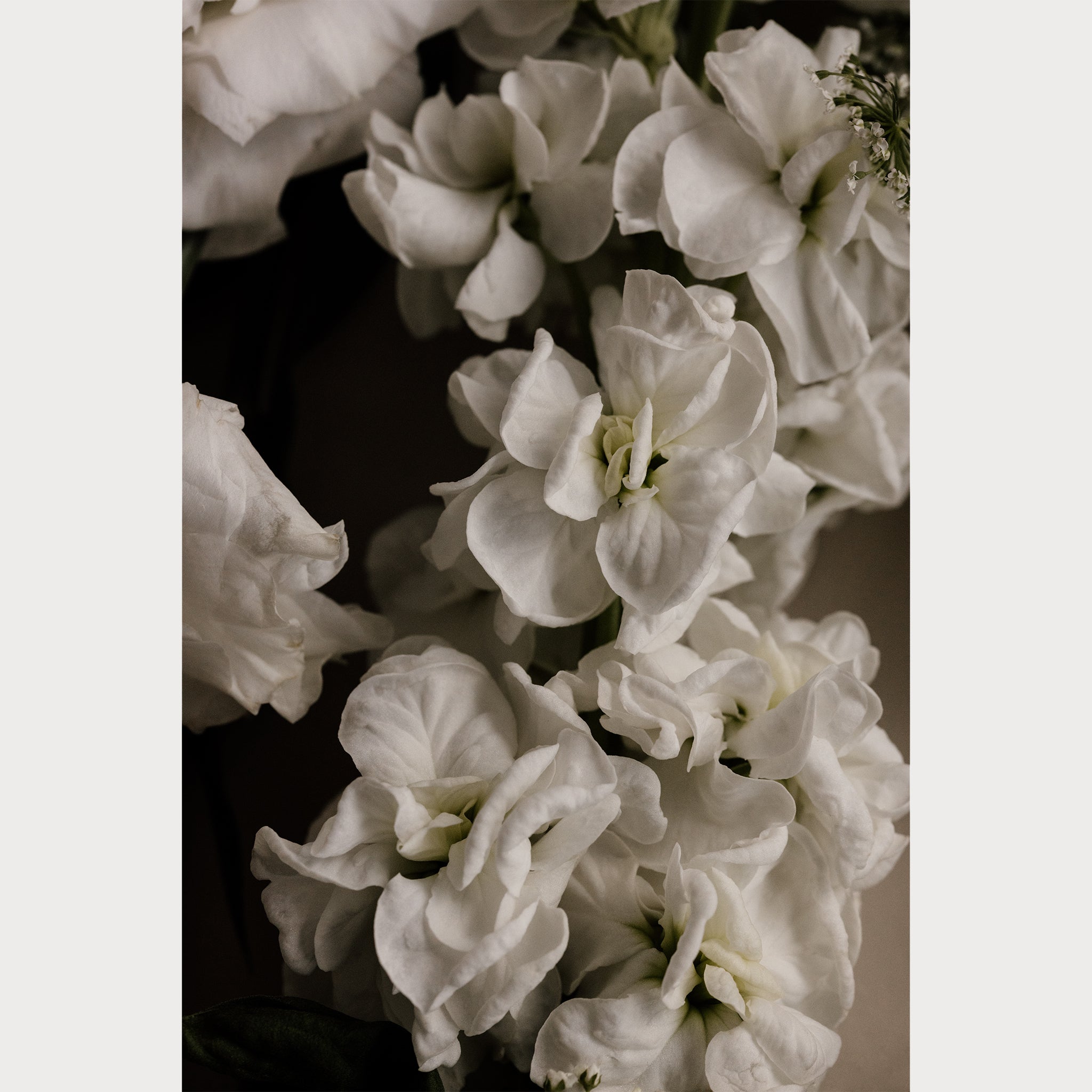 Love Letter - 2 | Size: 32"" x 48"" Refurbished - Teolai Design refurbished available on Cerqular