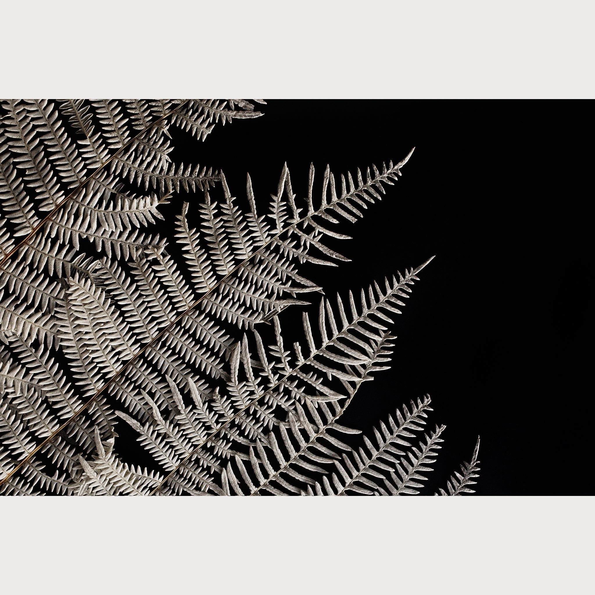 Buy Nordic Simplicity - 1 | Size: 24"" x 36"" Refurbished - $372.02 Nordic Simplicity - 1 | Size: 24"" x 36"" Refurbished - Teolai Design refurbished available on Cerqular