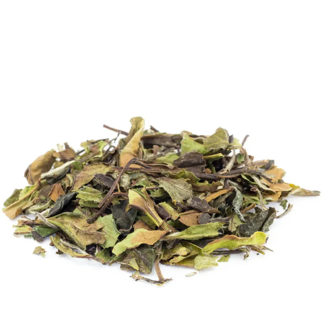 Buy Wild Bai Mu Dan Refurbished - $26.99 Wild Bai Mu Dan Refurbished - Outoken Tea (Note: I could not find a brand called "Out refurbished available on Cerqular