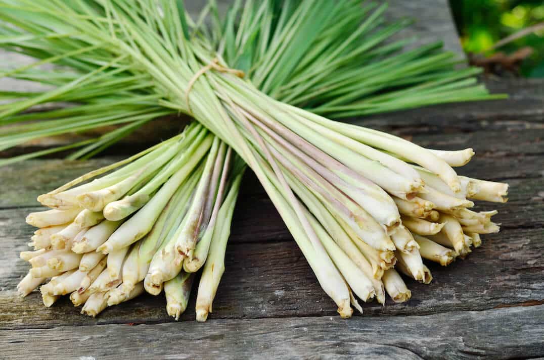 Lemongrass Pure Essential Oil - 17mL & 60mL sizes | Fair Trade + Ethically Sourced | Size: 17mL Refurbished - Bella Glow Skincare refurbished available on Cerqular