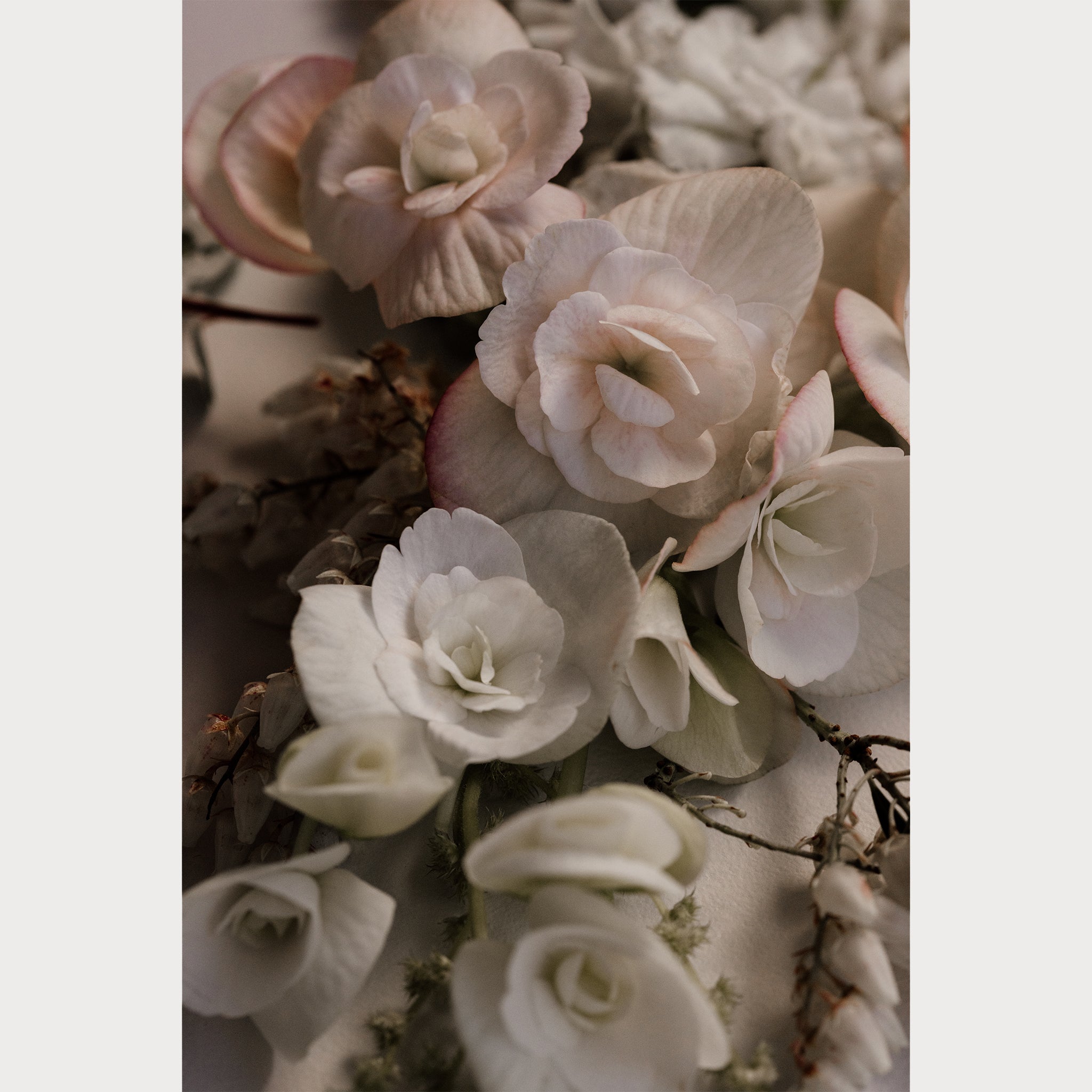 Love Letter - 6 | Size: 32"" x 48"" Refurbished - Teolai Design refurbished available on Cerqular