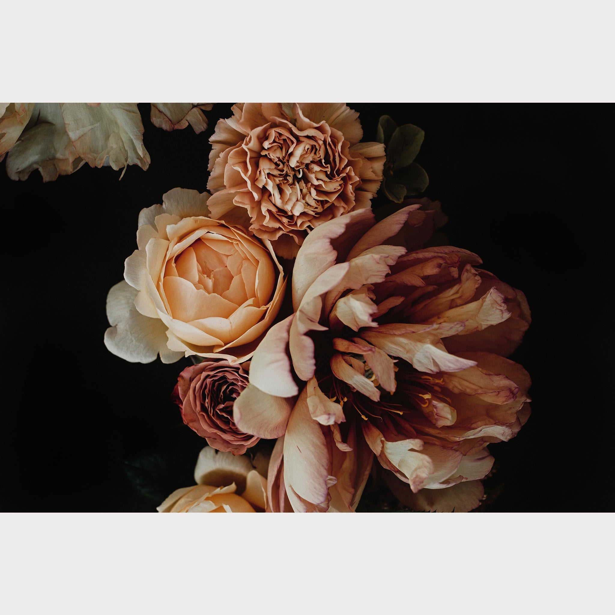 Founders Collection - 4 | Size: 24"" x 36"" Refurbished - Teolai Design refurbished available on Cerqular