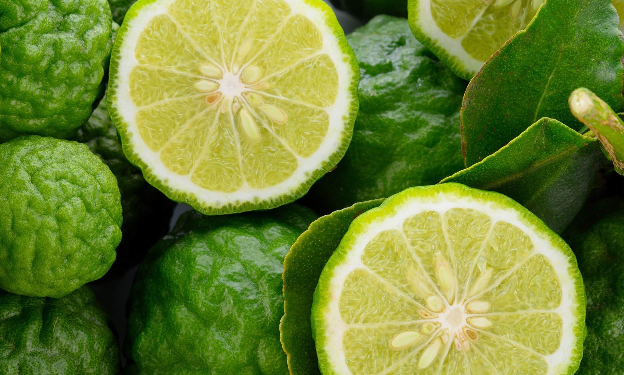 Buy Bergamot Pure Essential Oil - 17mL & 60mL sizes | Fair Trade + Ethically Sourced | Size: 60mL Refurbished - $129.00 Bergamot Pure Essential Oil - 17mL & 60mL sizes | Fair Trade + Ethically Sourced | Size: 60mL Refurbished - Bella Glow Skincare refurbished available on Cerqular
