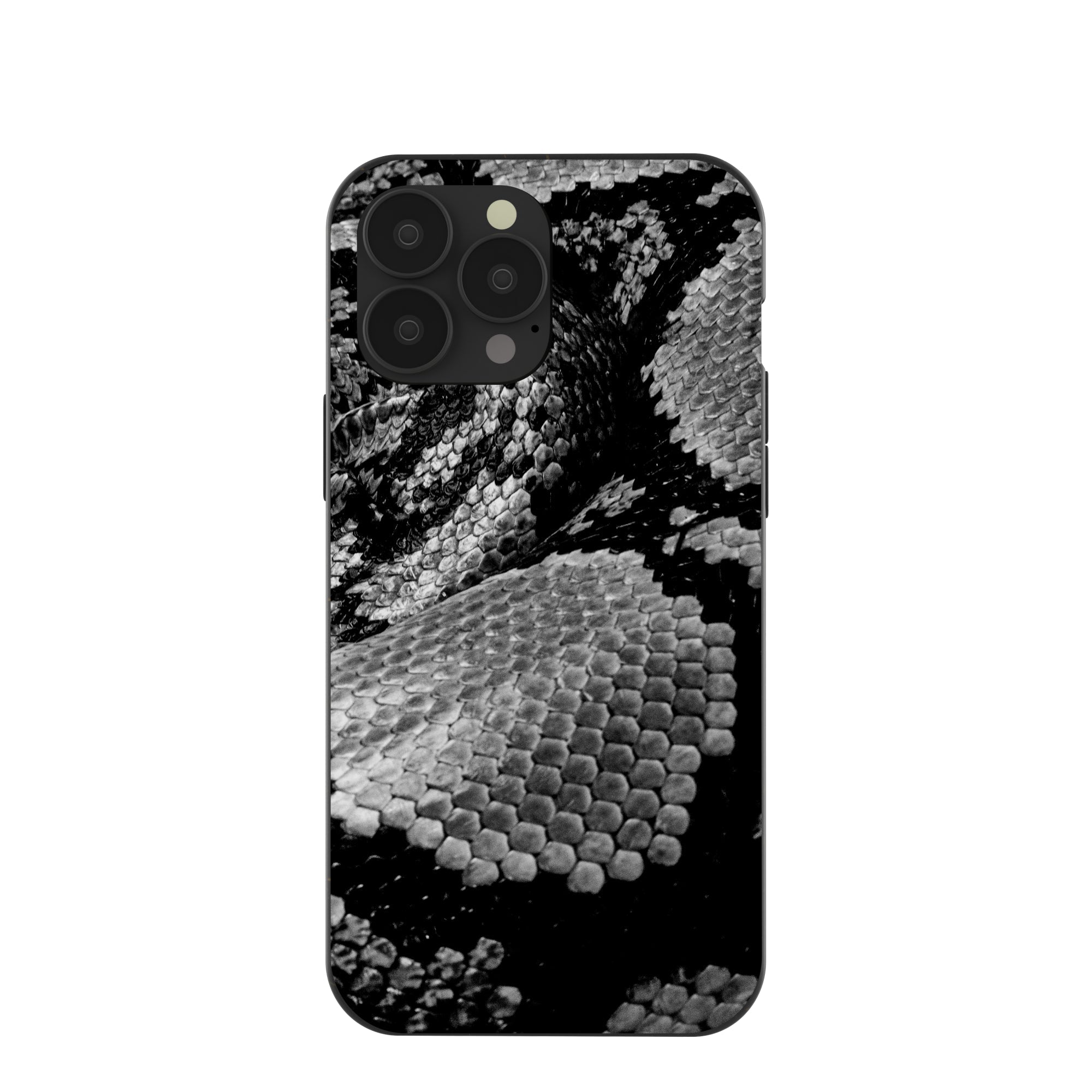 Black Snake Scale iPhone 13 Pro Max Case Refurbished - Pela Case refurbished available on Cerqular