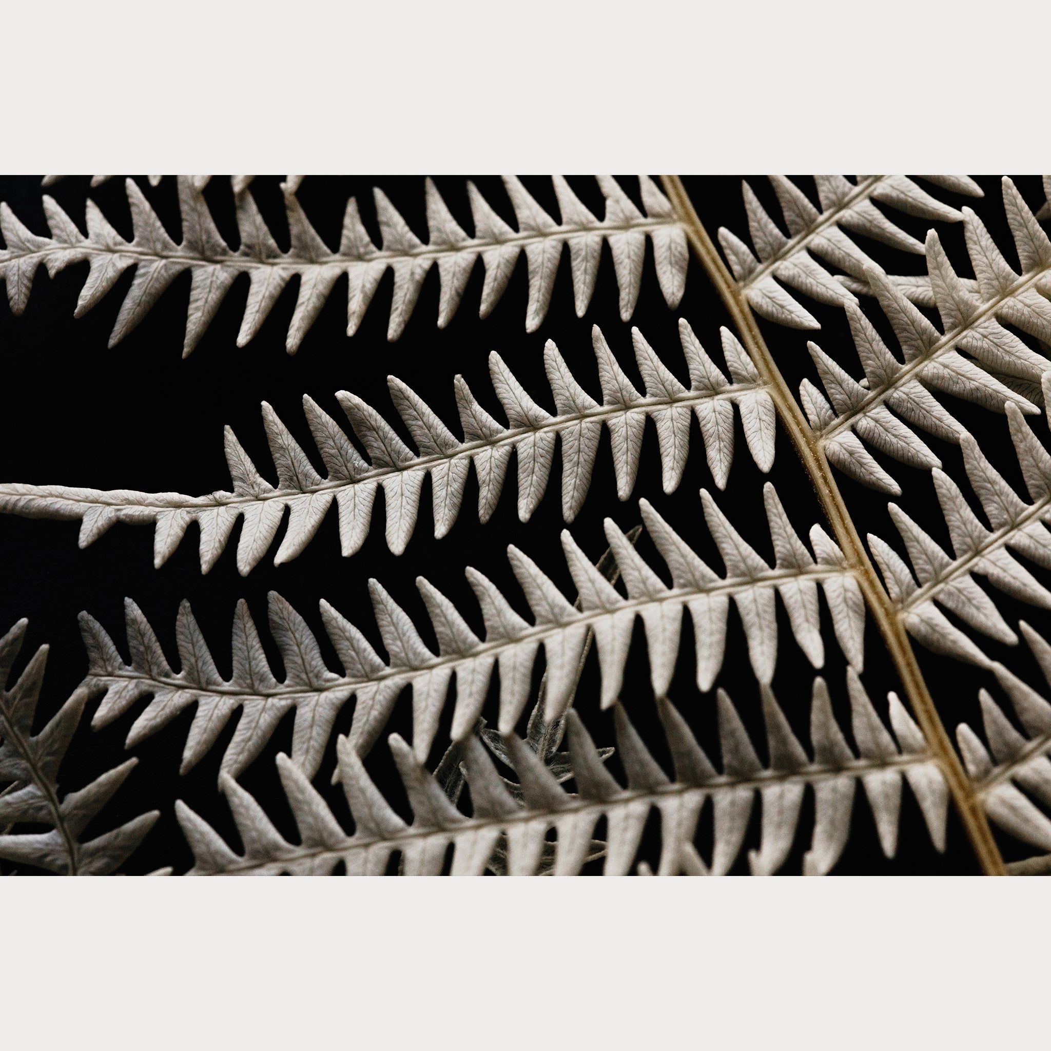 Nordic Simplicity - 2 | Size: 24"" x 36"" Refurbished - Teolai Design refurbished available on Cerqular