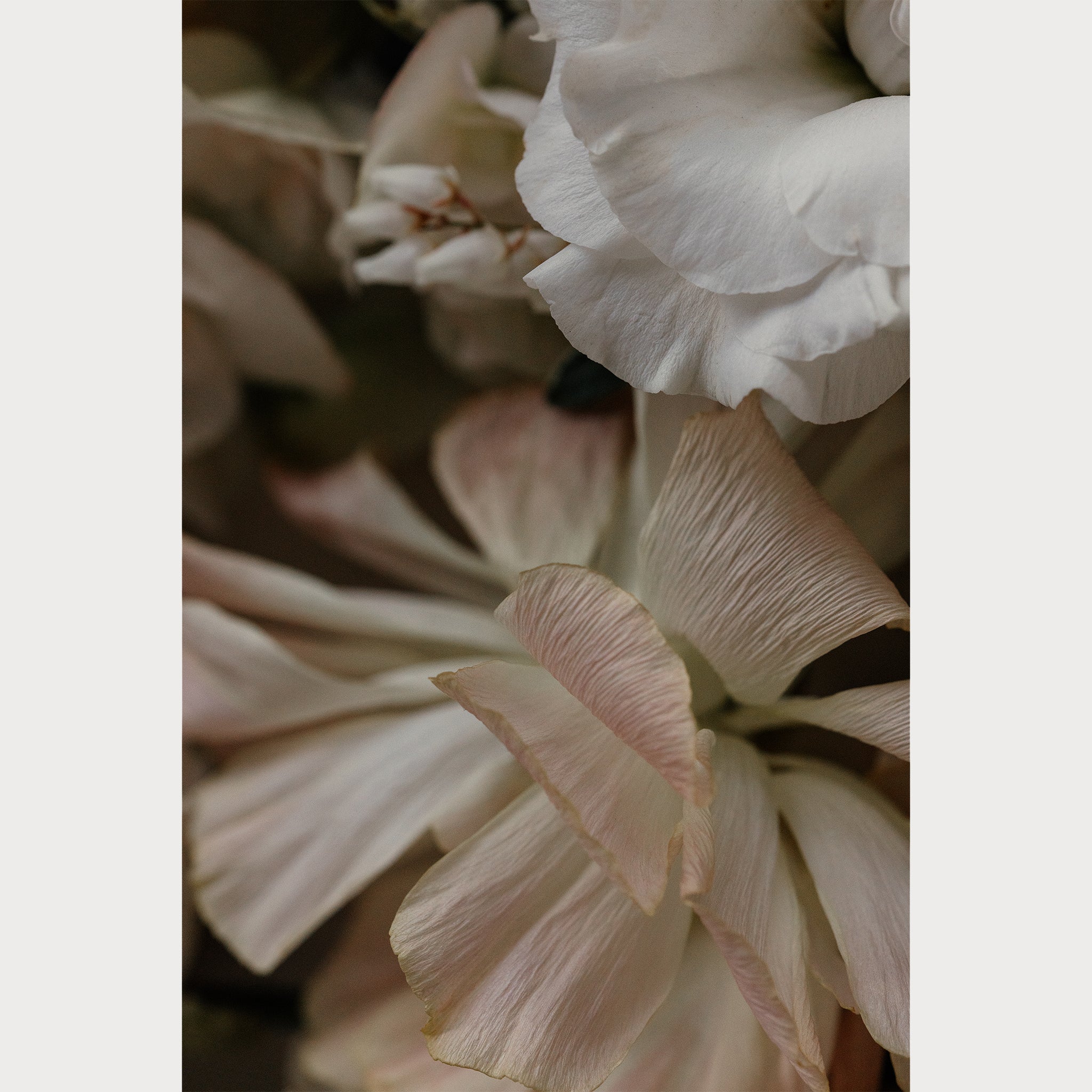 Love Letter - 1 | Size: 24"" x 36"" Refurbished - Teolai Design refurbished available on Cerqular