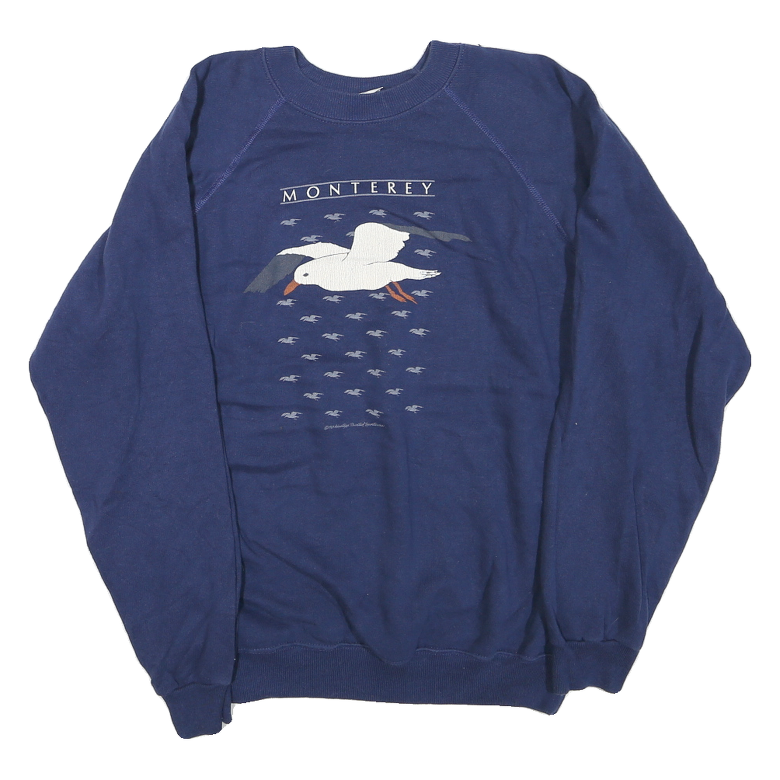 HANES Mens Blue Monterey Crew Neck L Cotton Blend Pullover Sweatshirt Refurbished - N/A refurbished available on Cerqular