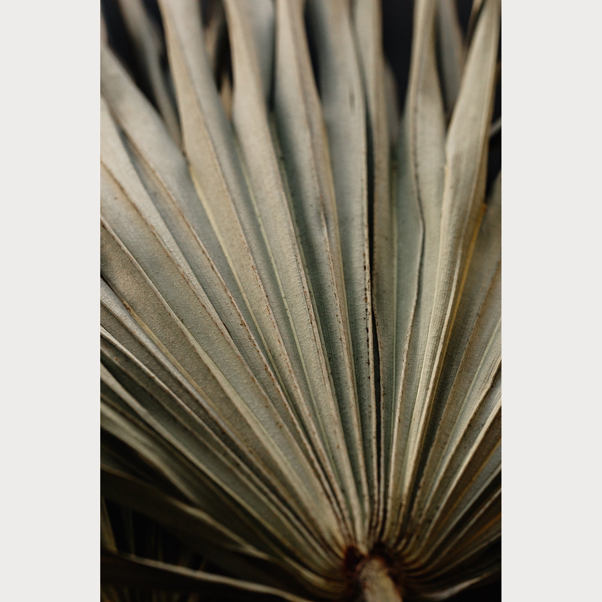 Nordic Simplicity - 6 | Size: 30"" x 40"" Refurbished - Teolai Design refurbished available on Cerqular