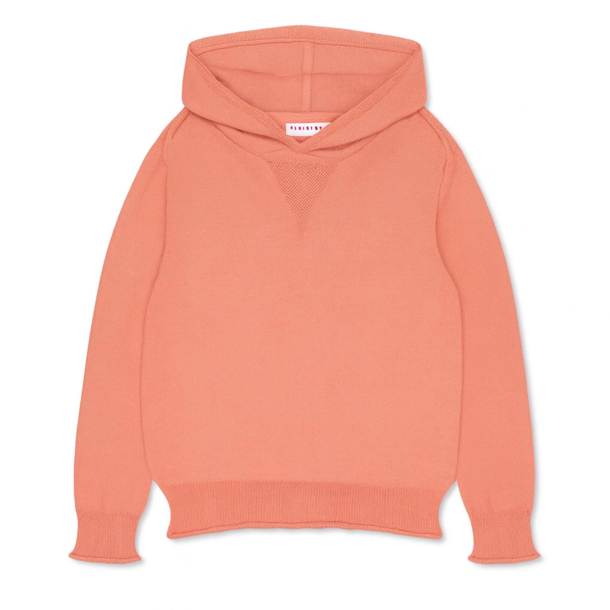Buy Cotton Cashmere Hoodie Sweater | Size: 3T Refurbished - $118.00 Cotton Cashmere Hoodie Sweater | Size: 3T Refurbished - Firebird Kids refurbished available on Cerqular