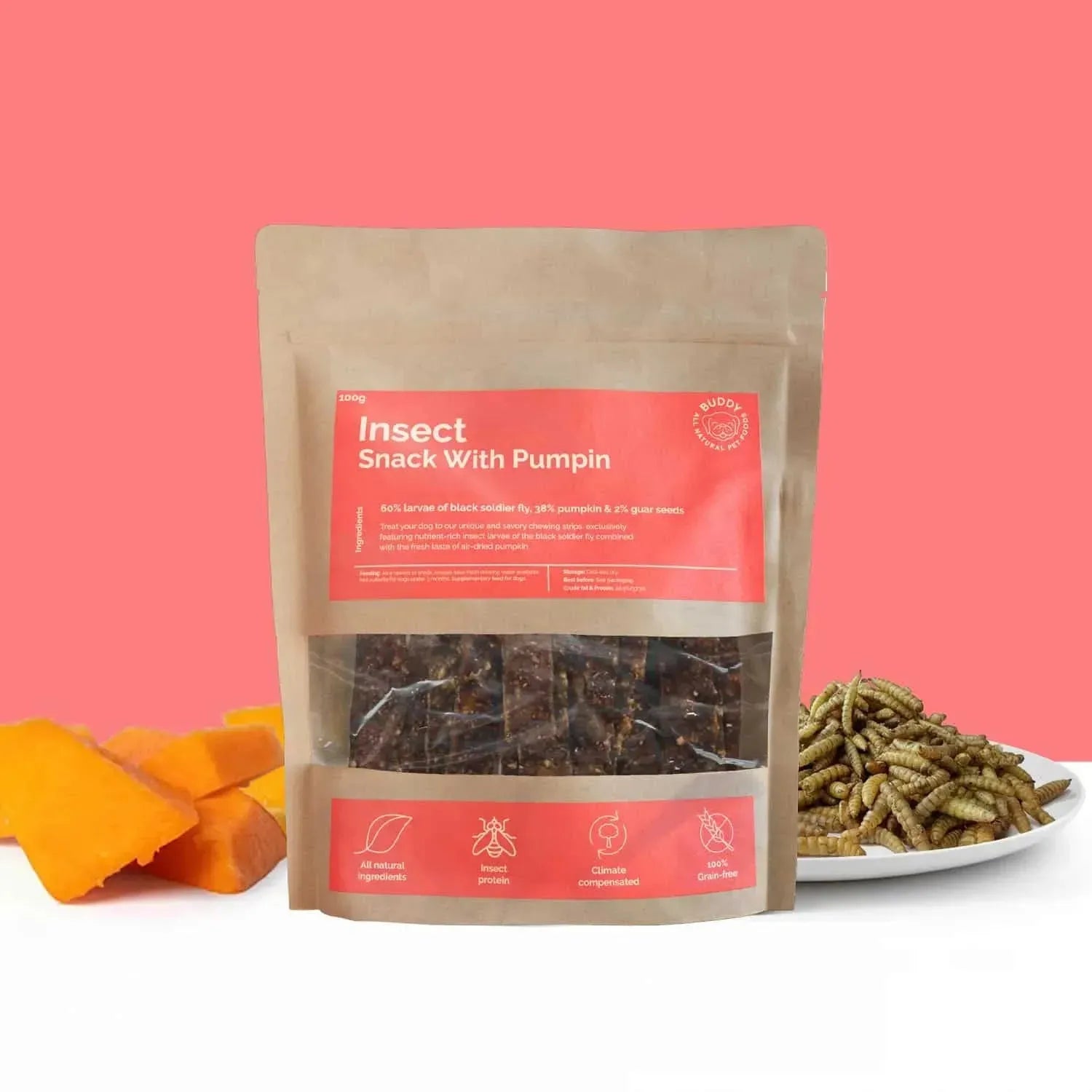 Insect Snack With Pumpkin | Välj storlek: 10x100g Refurbished - Buddy Pet Foods refurbished available on Cerqular