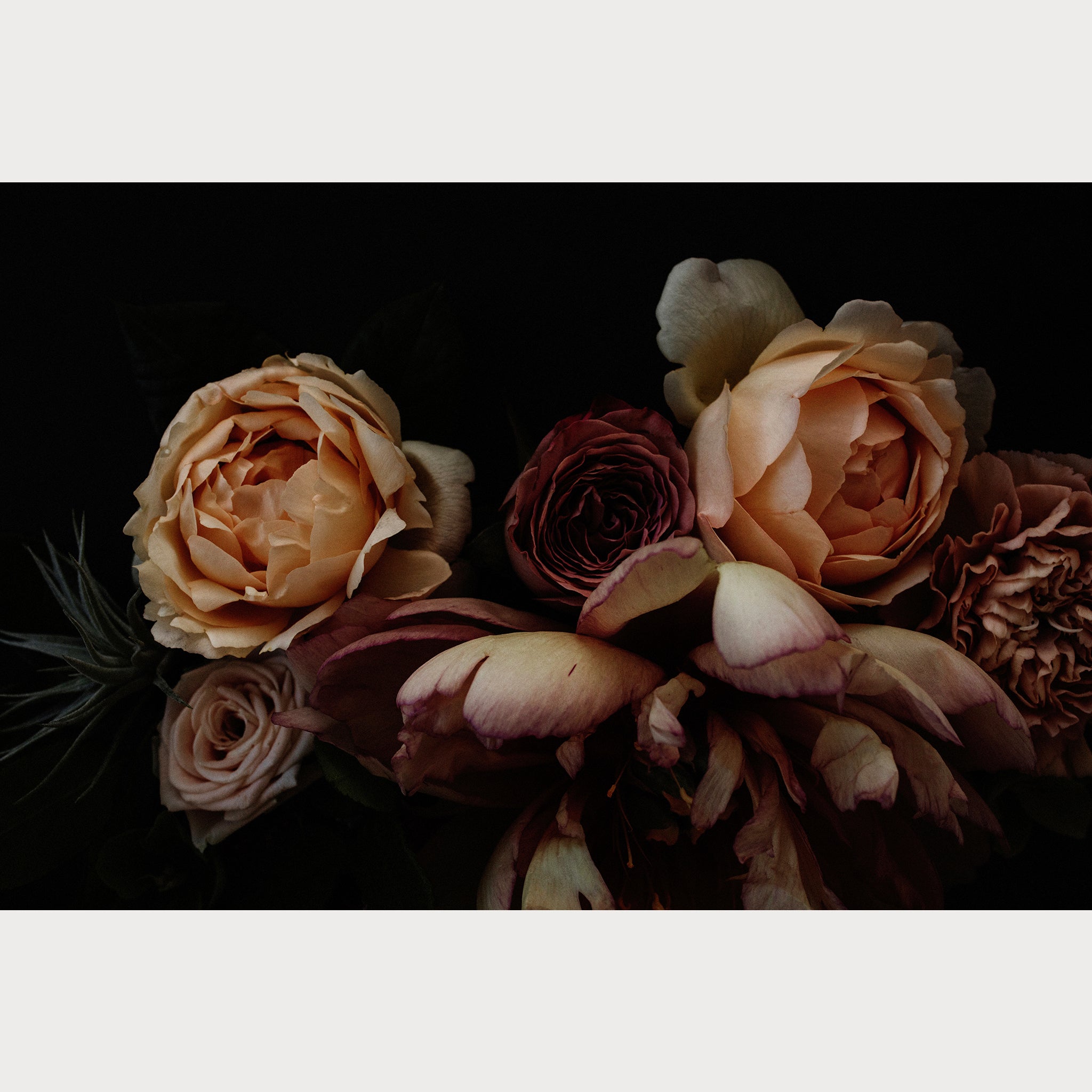 Founders Collection - 5 | Size: 32"" x 48"" Refurbished - Teolai Design refurbished available on Cerqular