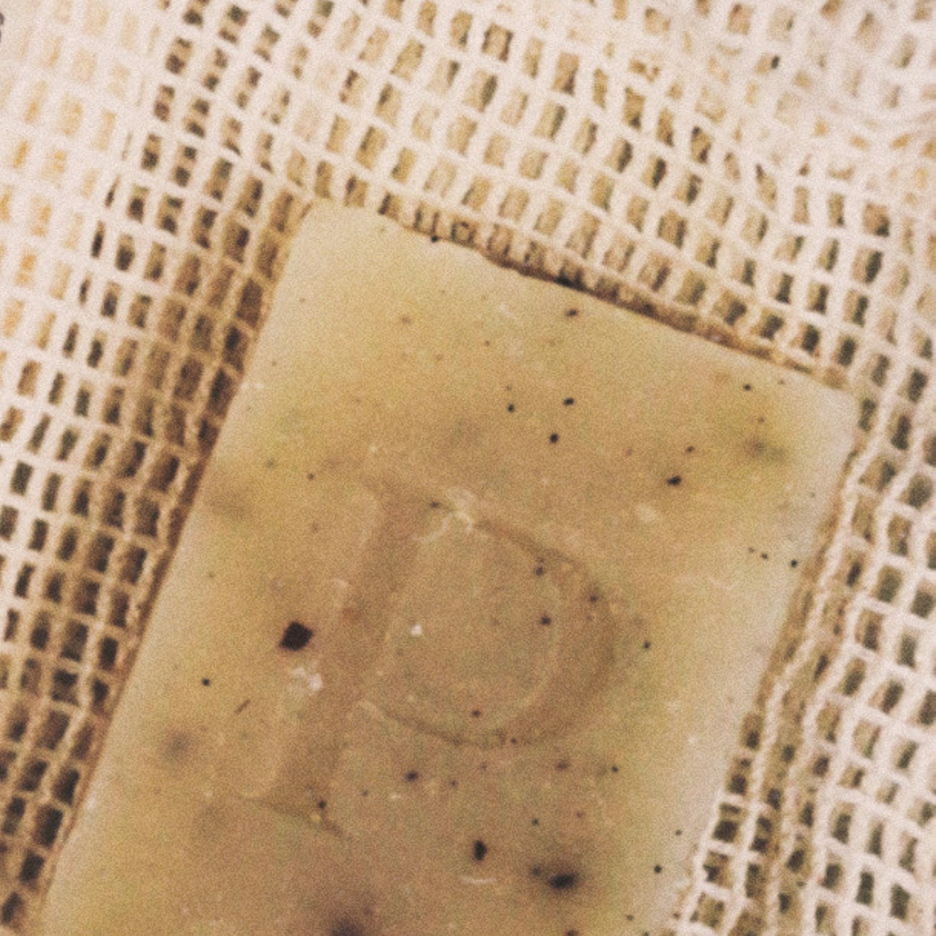 Exfoliating Soap Bar Miniatures (pack of 6) Refurbished - N/A (I could not find a well-known brand with this name refurbished available on Cerqular