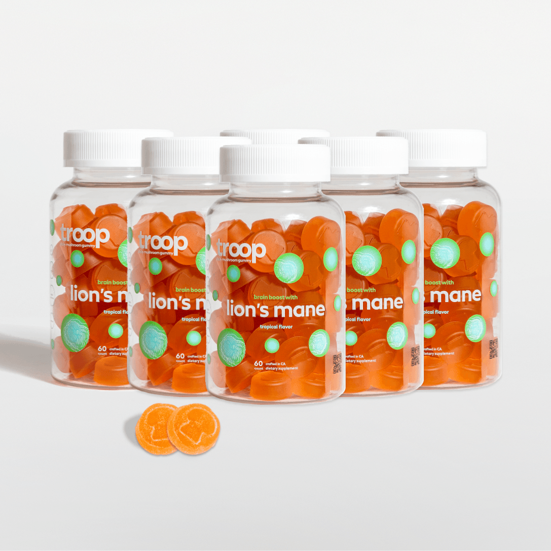 Lions Mane 6 Month Bundle | Size: 1 Package Refurbished - N/A refurbished available on Cerqular