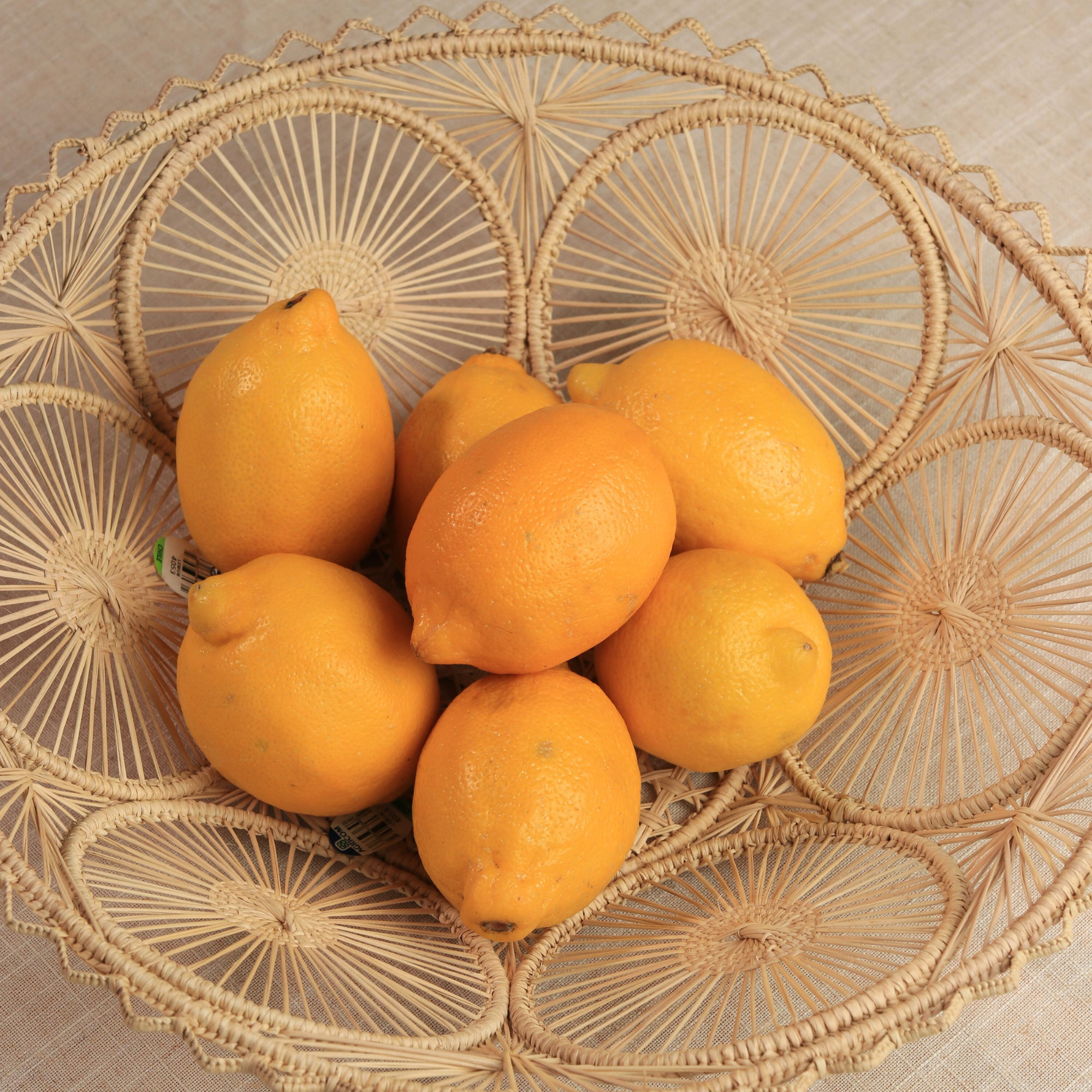 Sol Palma Basket Refurbished - Apalma Handmade refurbished available on Cerqular