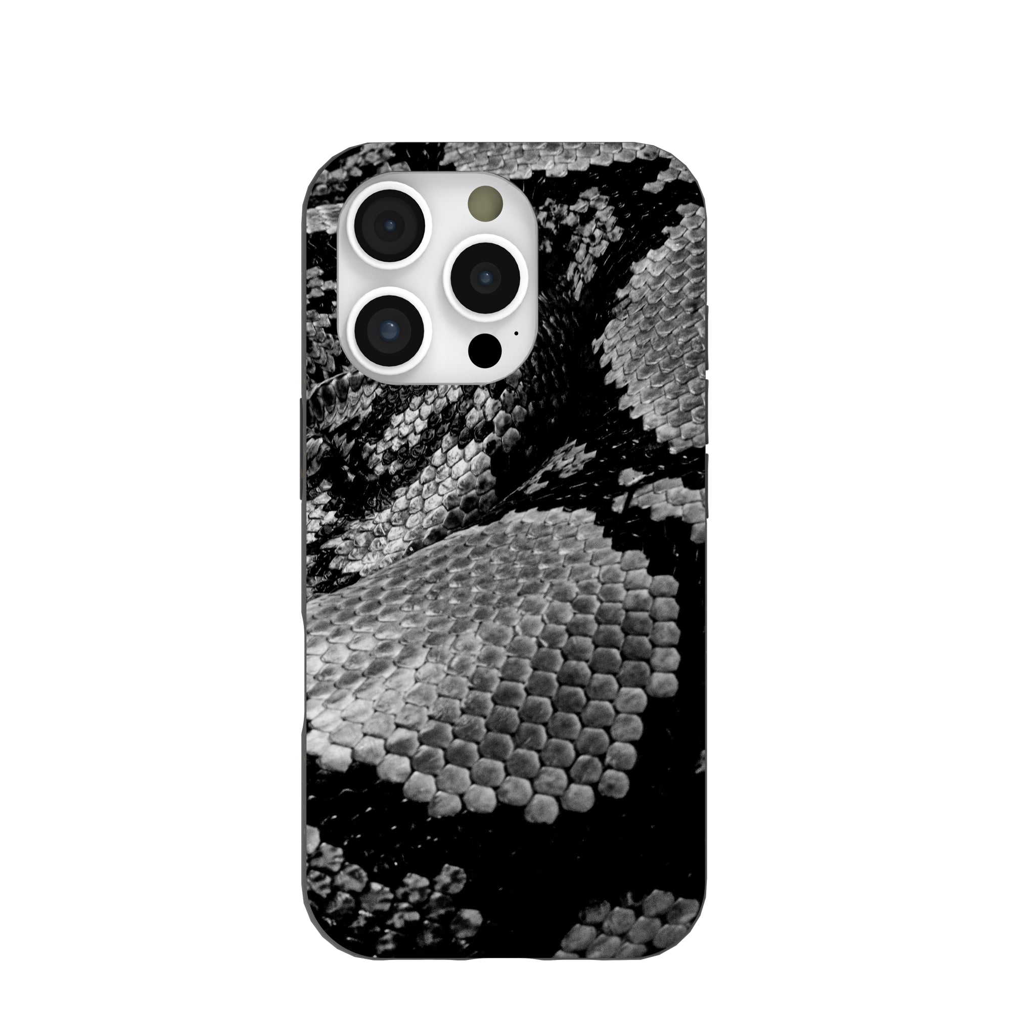 Black Snake Scale iPhone 16 Pro Case Refurbished - Pela Case refurbished available on Cerqular