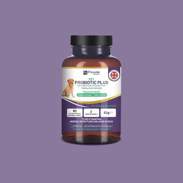 Pet Probiotic Plus with Added Inulin & Psyllium Husk 2 Billion CFU with 5 Active Strains I 60 Chicken Flavour Chewable Tablets 2 Months Supply Refurbished - Prowise Healthcare refurbished available on Cerqular