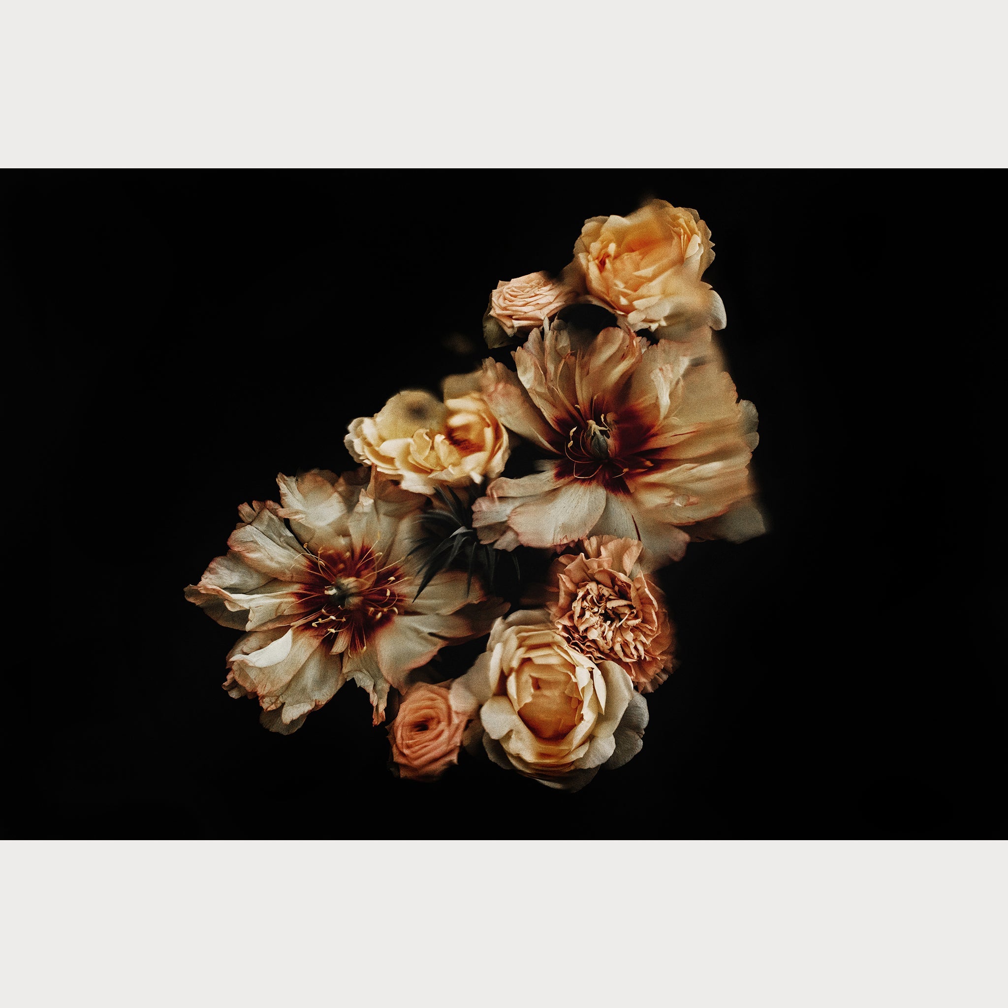 Founders Collection - 1 | Size: 30"" x 40"" Refurbished - Teolai Design refurbished available on Cerqular