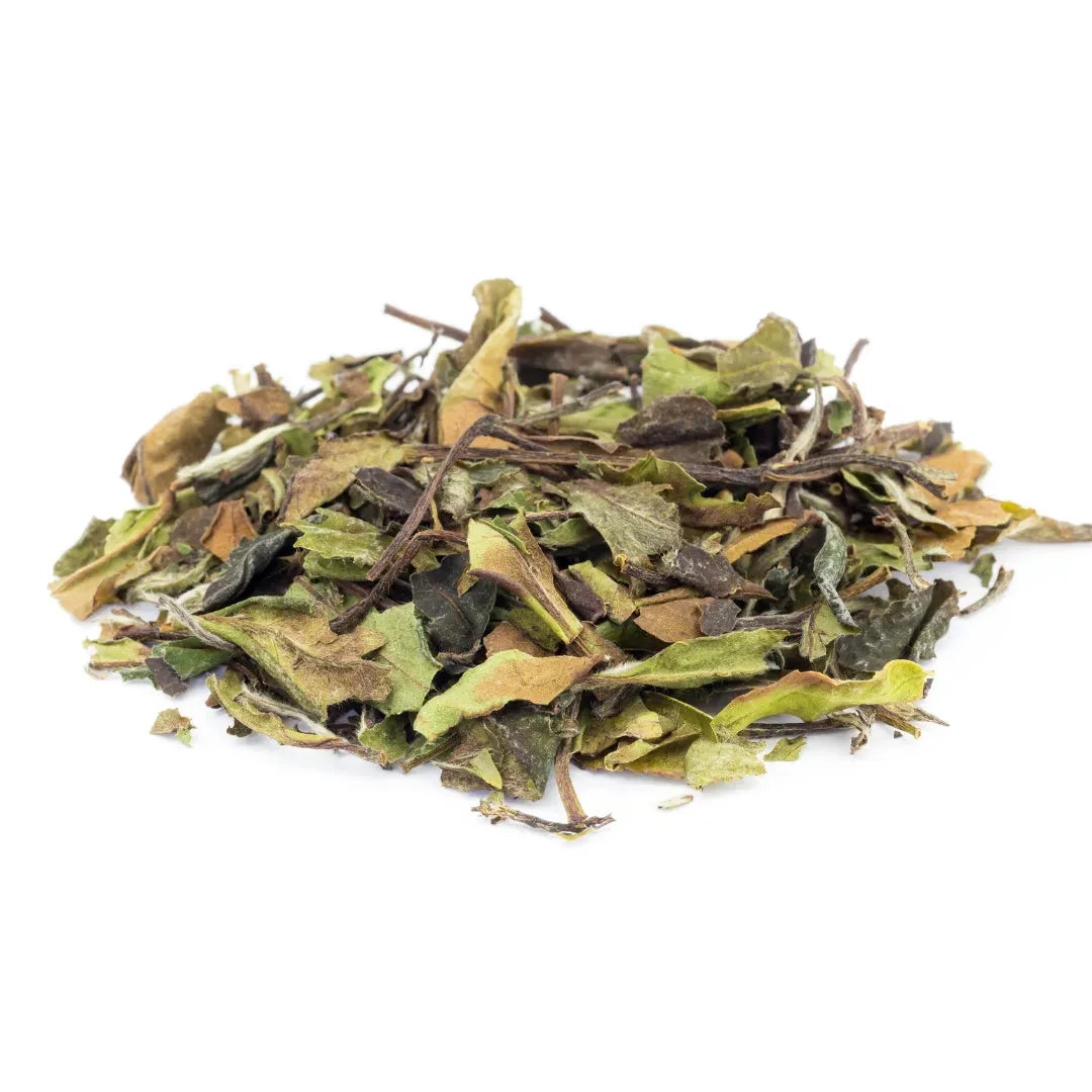 African White Peony Refurbished - Outoken Tea (Note: I could not find a brand called "Out refurbished available on Cerqular