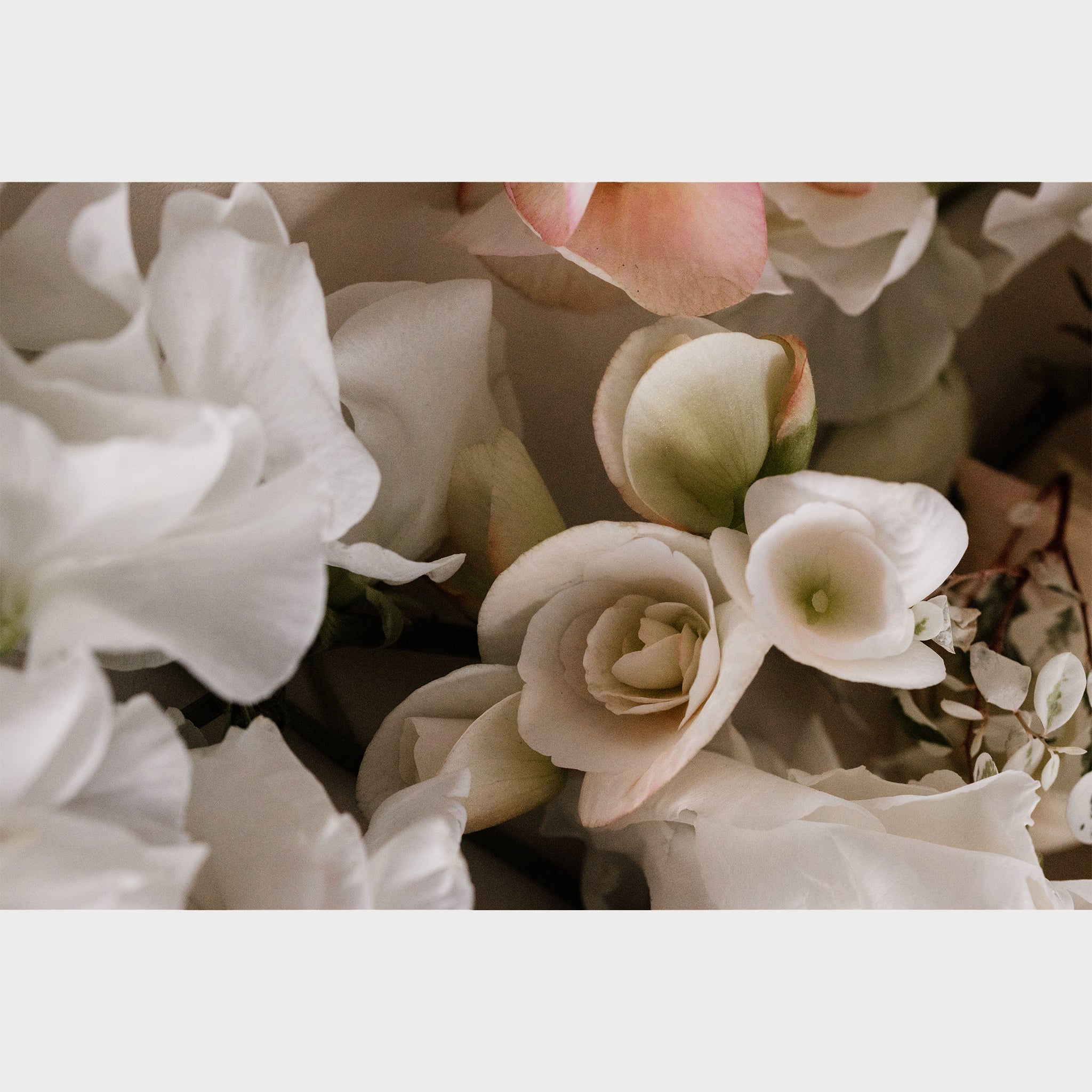 Love Letter - 3 | Size: 24"" x 36"" Refurbished - Teolai Design refurbished available on Cerqular