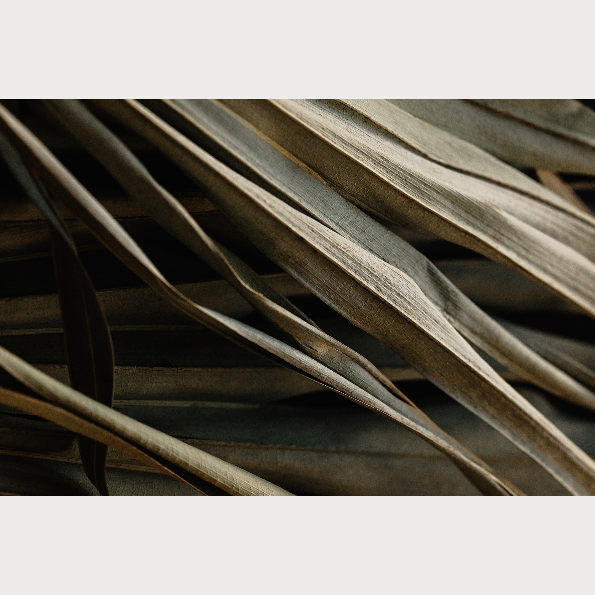 Nordic Simplicity - 5 | Size: 24"" x 36"" Refurbished - Teolai Design refurbished available on Cerqular