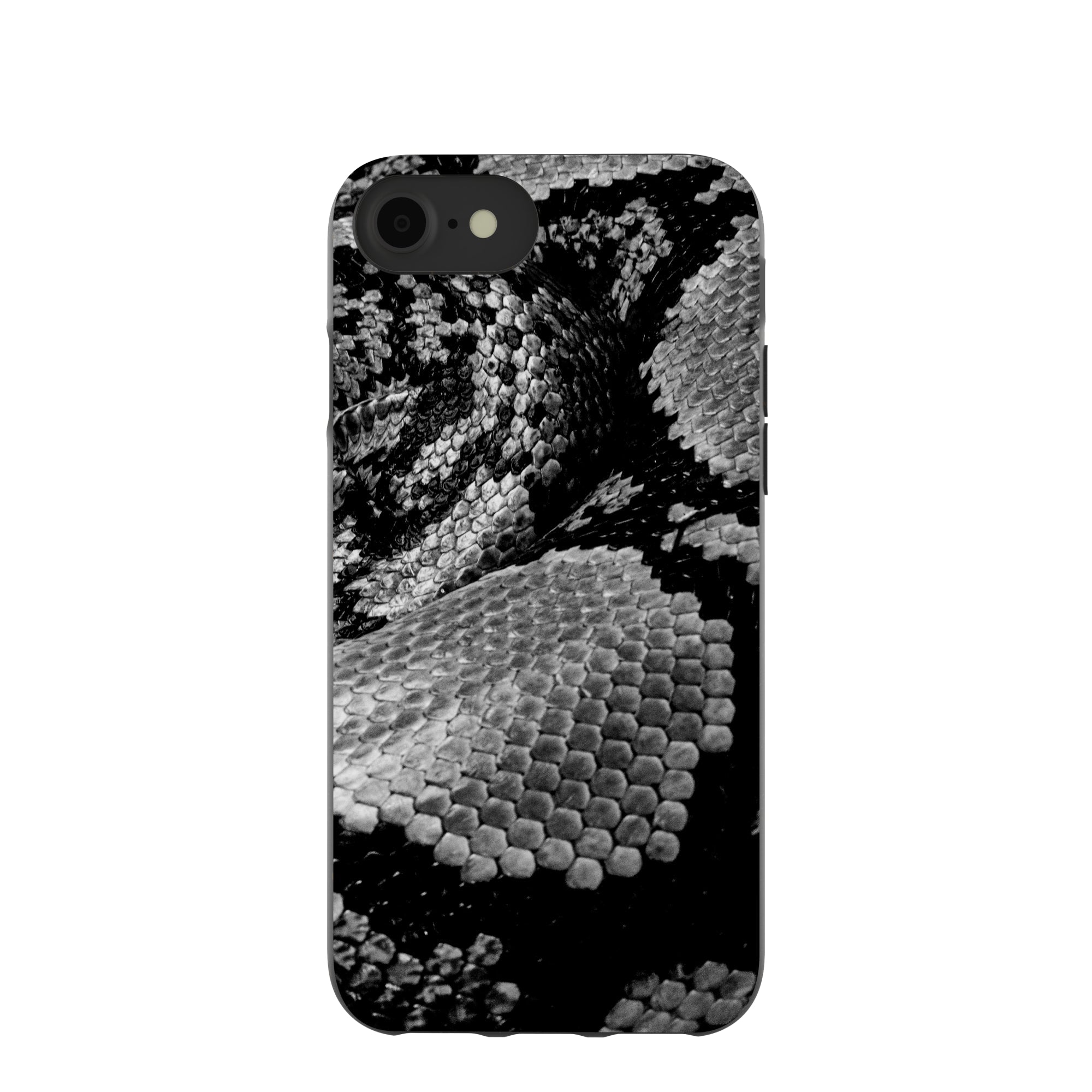 Black Snake Scale iPhone 6/6s/7/8/SE Case Refurbished - Pela Case refurbished available on Cerqular