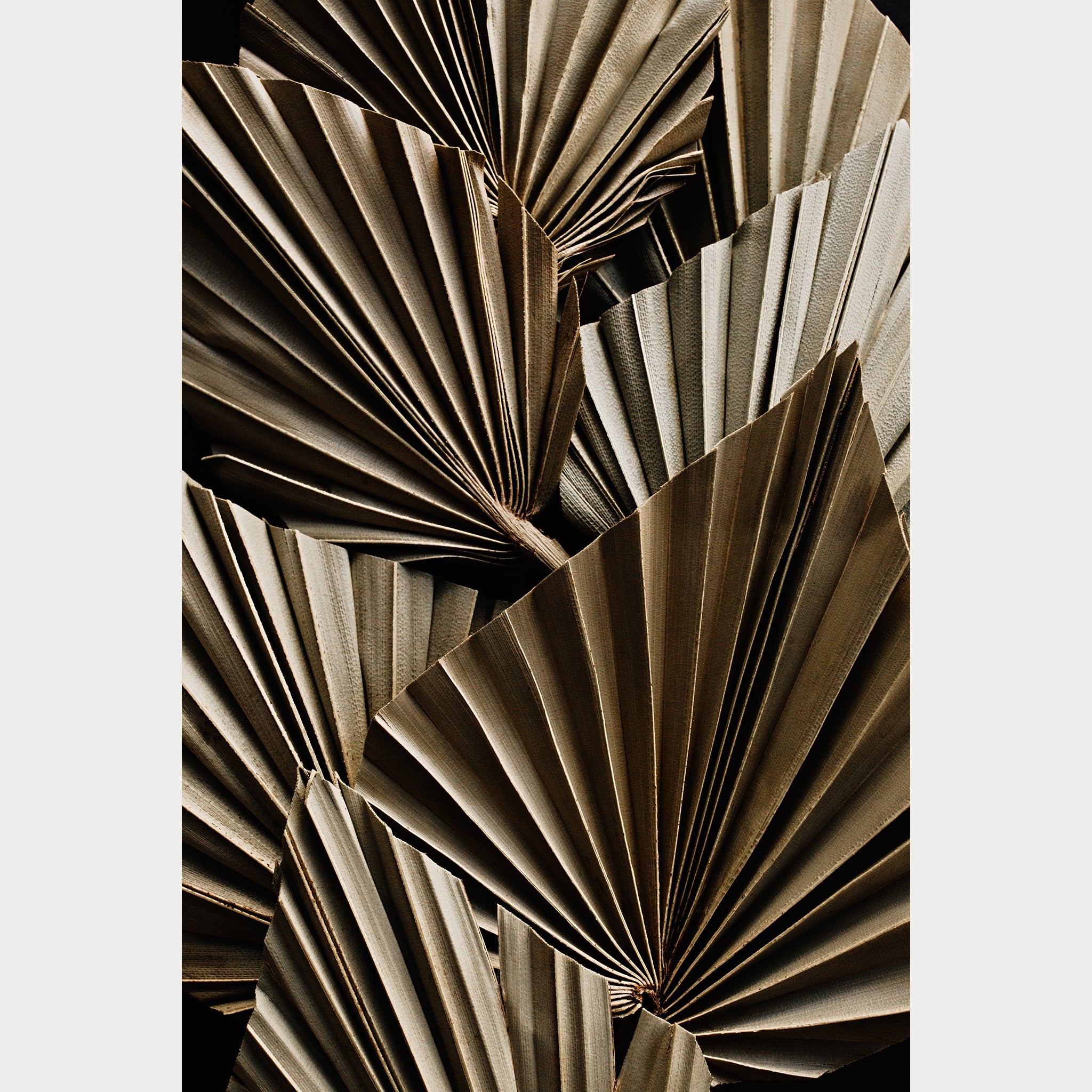 Nordic Simplicity - 8 | Size: 32"" x 48"" Refurbished - Teolai Design refurbished available on Cerqular