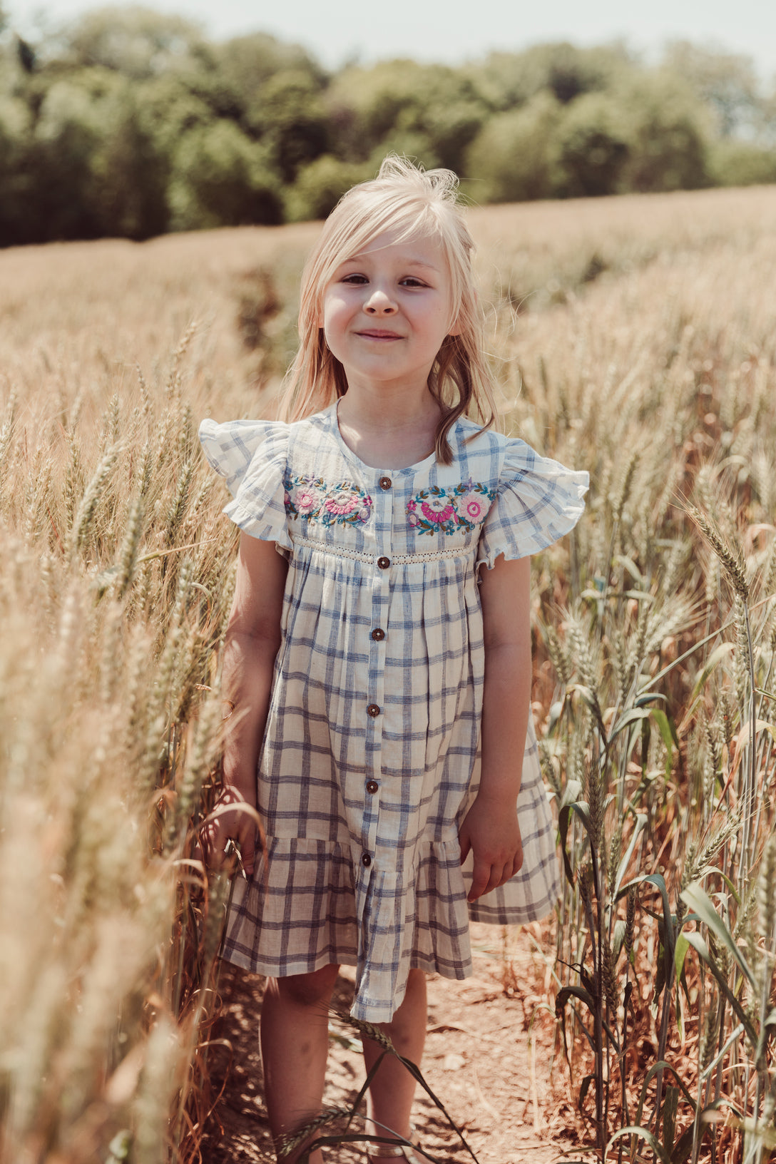 Carlina girl dress - Blue River Checks | Size: 3 years Refurbished - N/A (Note: This brand may not be well-known globally refurbished available on Cerqular