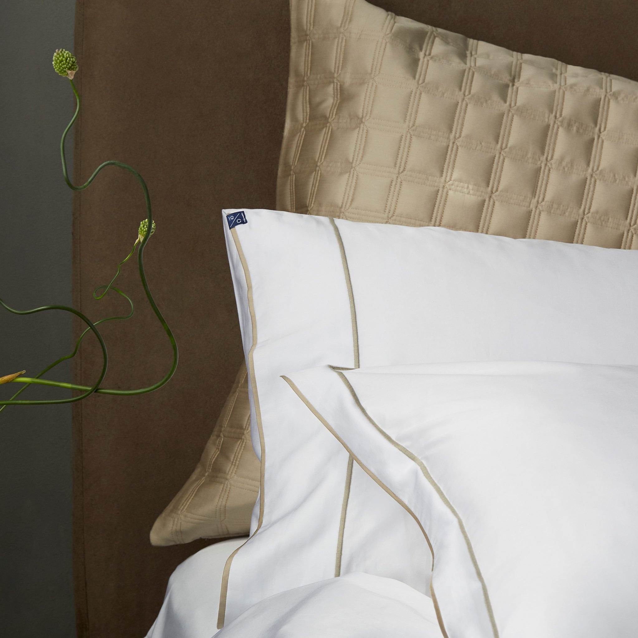 Pair of Pillowcases | Size: Standard | Color: Olive Martini | Touch: Sateen Refurbished - N/A refurbished available on Cerqular