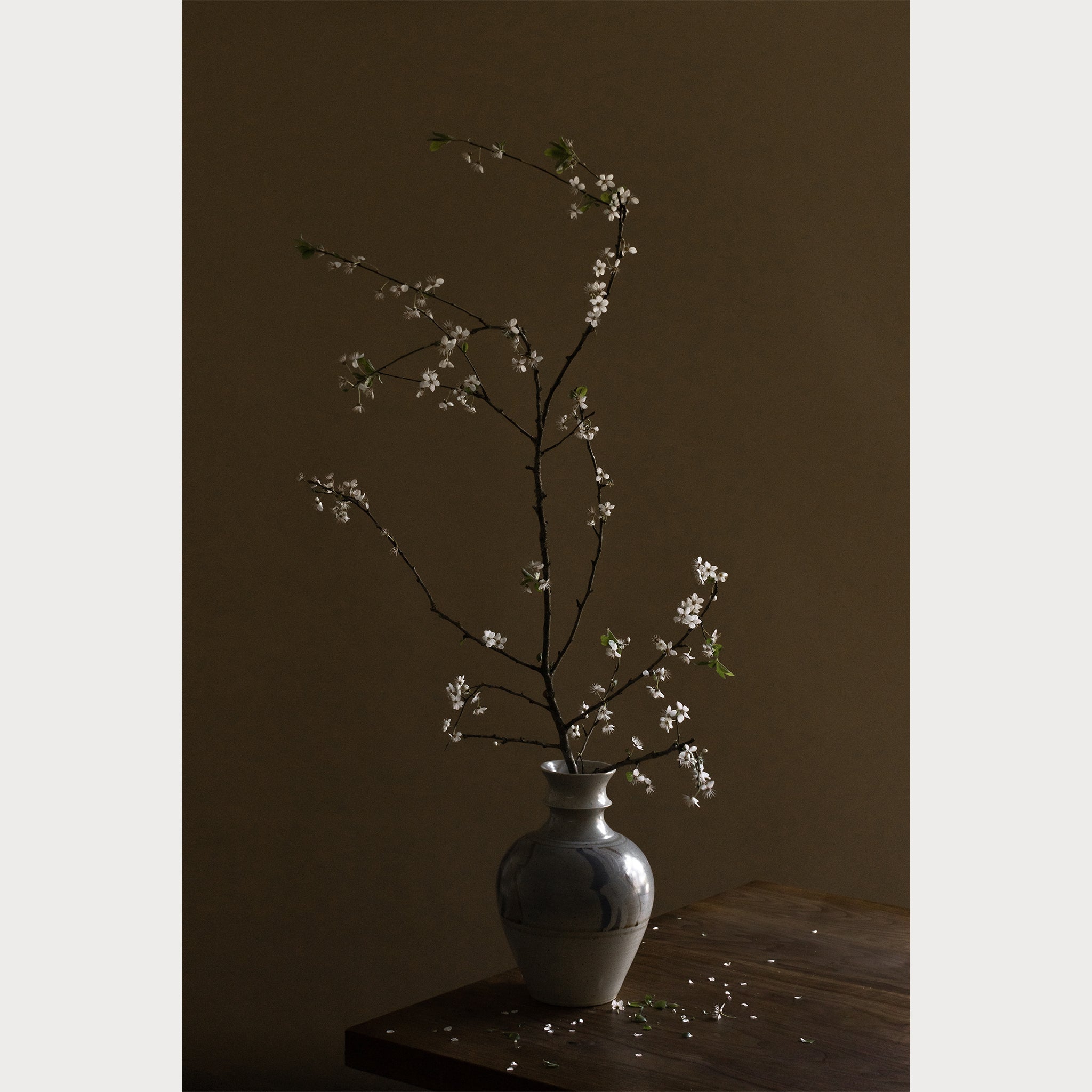 Branches and Blossoms - 8 | Size: 16"" x 24"" Refurbished - Teolai Design refurbished available on Cerqular