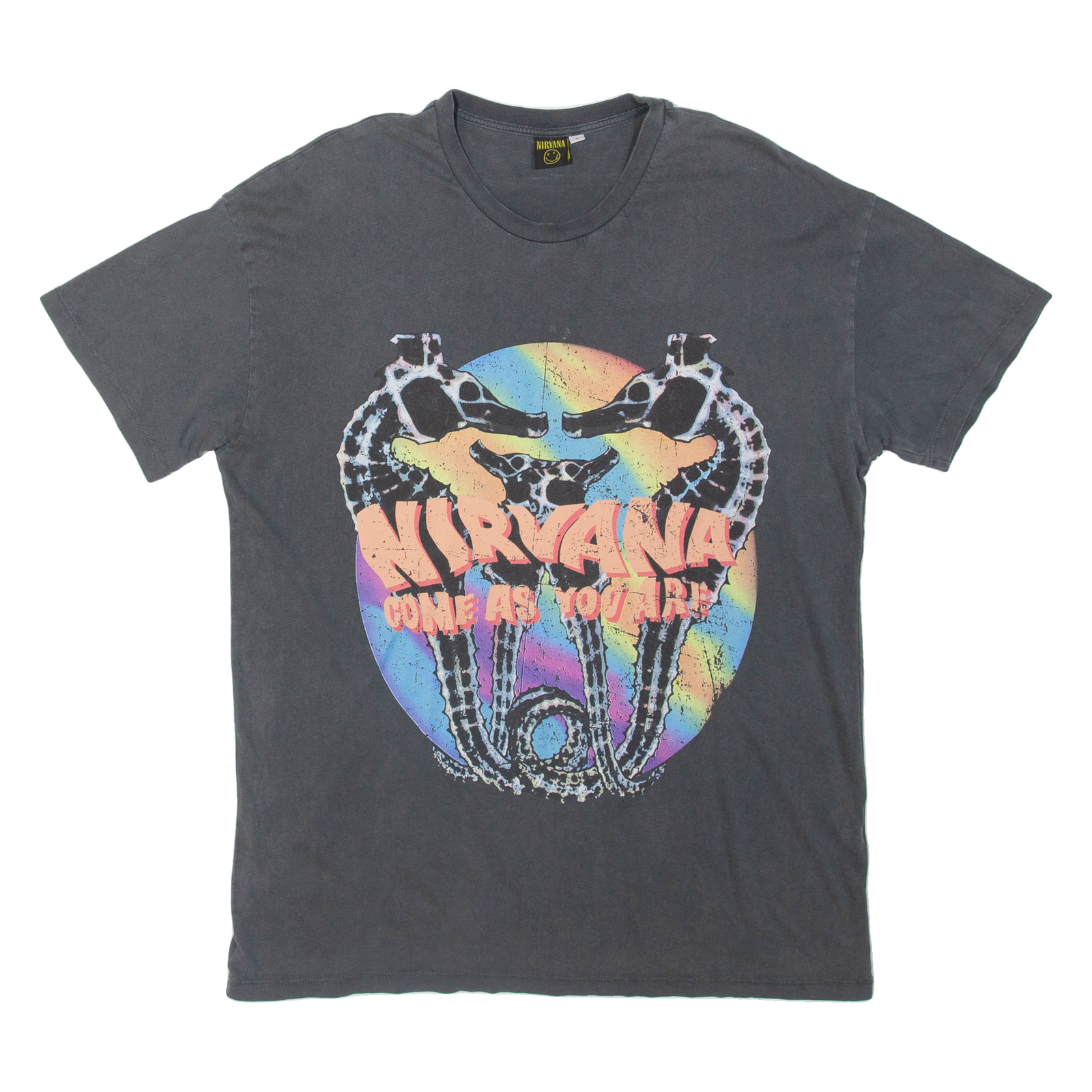 NIRVANA Mens Band T-Shirt Grey S Refurbished - N/A refurbished available on Cerqular