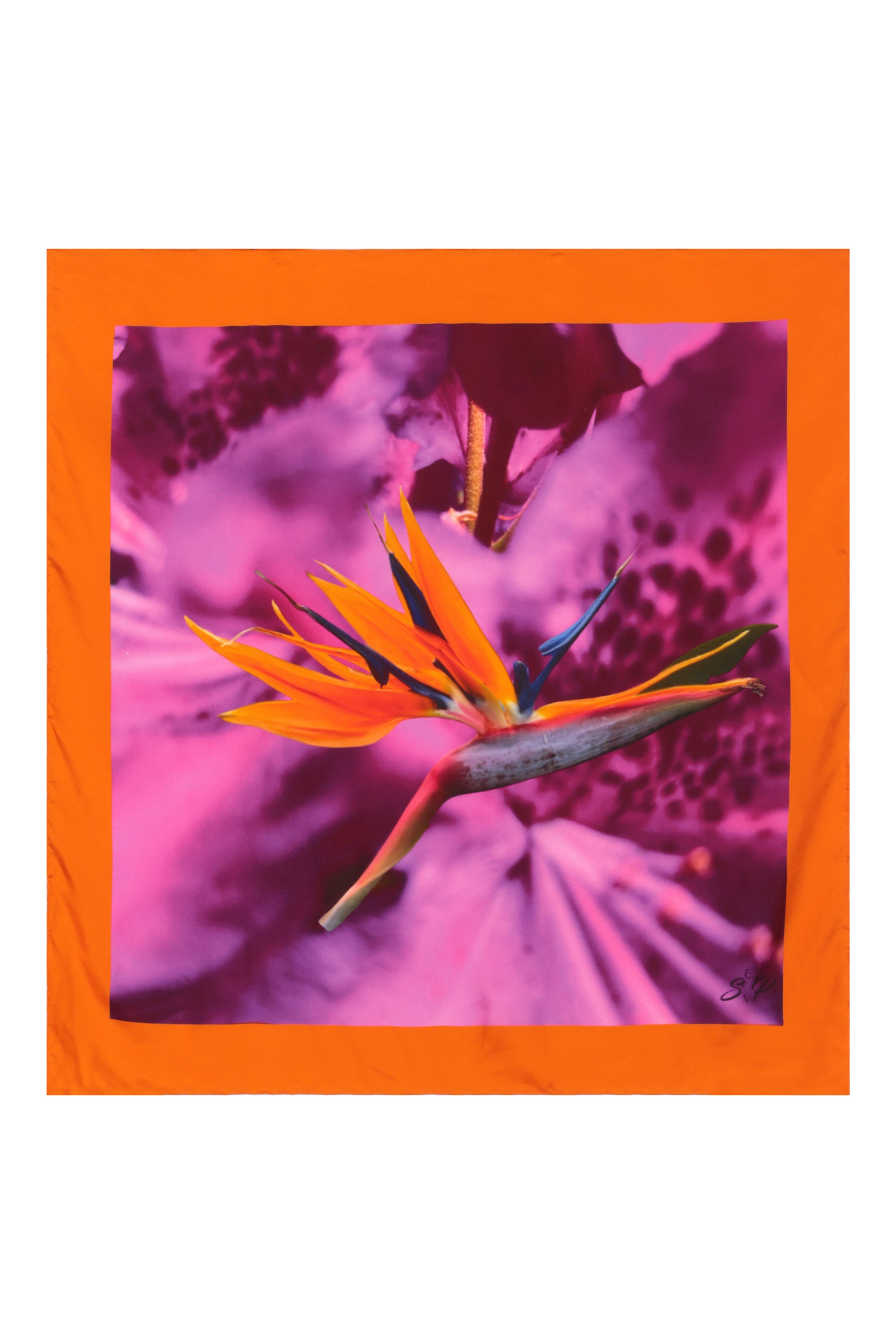 Silk Scarf Unisex – Pink & Purple Bird of Paradise Print | Color: Pink Purple | Material: Silk Refurbished - N/A refurbished available on Cerqular