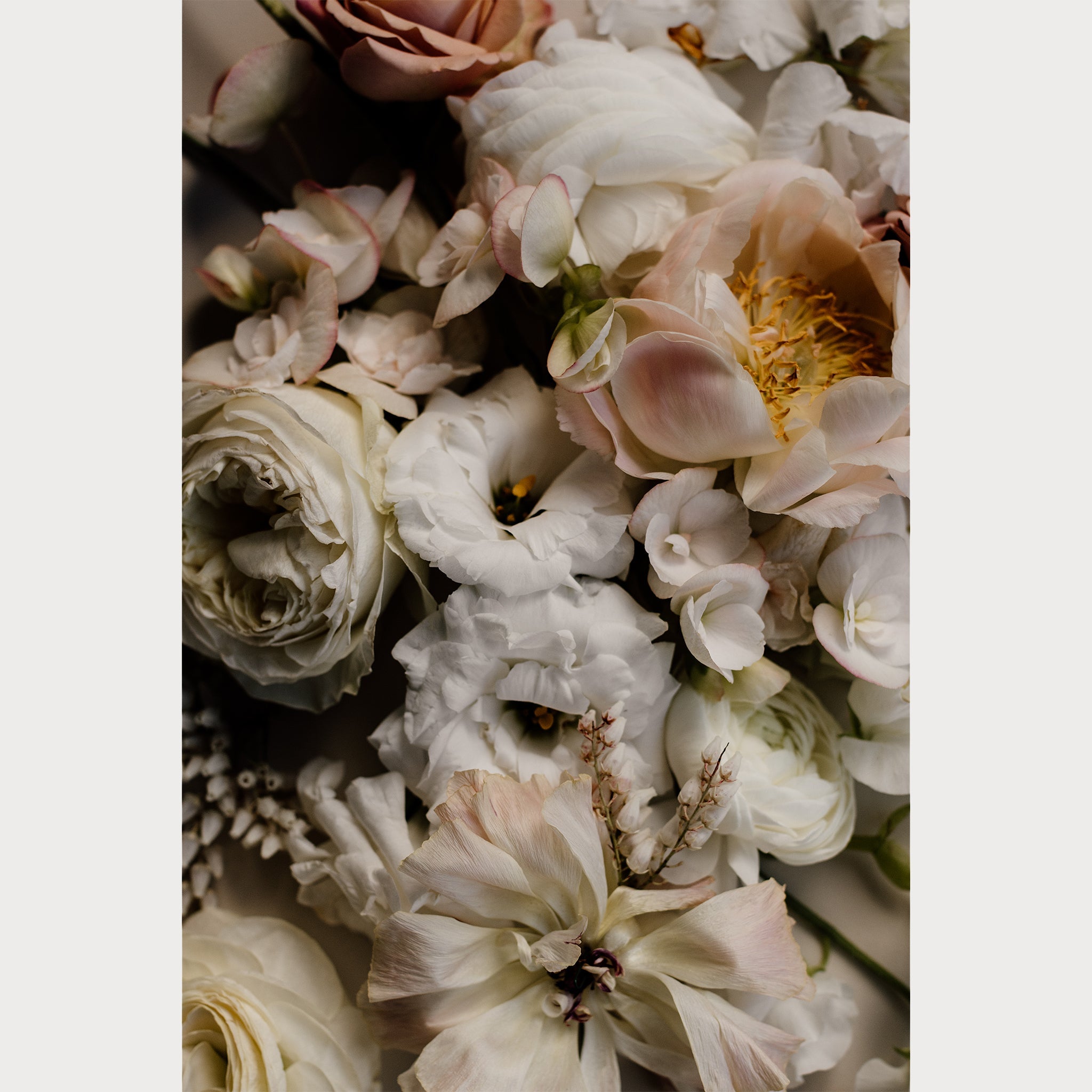Love Letter - 5 | Size: 30"" x 40"" Refurbished - Teolai Design refurbished available on Cerqular