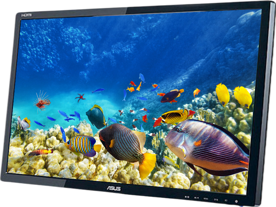 ASUS VE248 24"" Widescreen LED Monitor - Grade A - No Stand Refurbished - Asus refurbished available on PCLiquidations