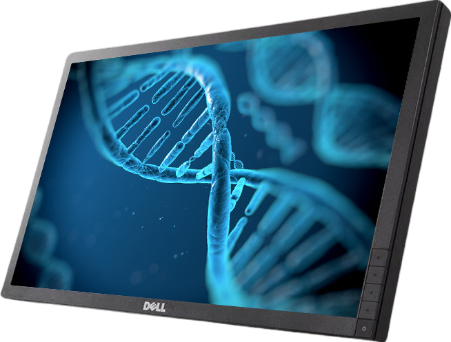 Dell P2412Hb 24"" Widescreen FHD LED LCD Monitor - No Stand - Grade C Refurbished - Dell refurbished available on PCLiquidations