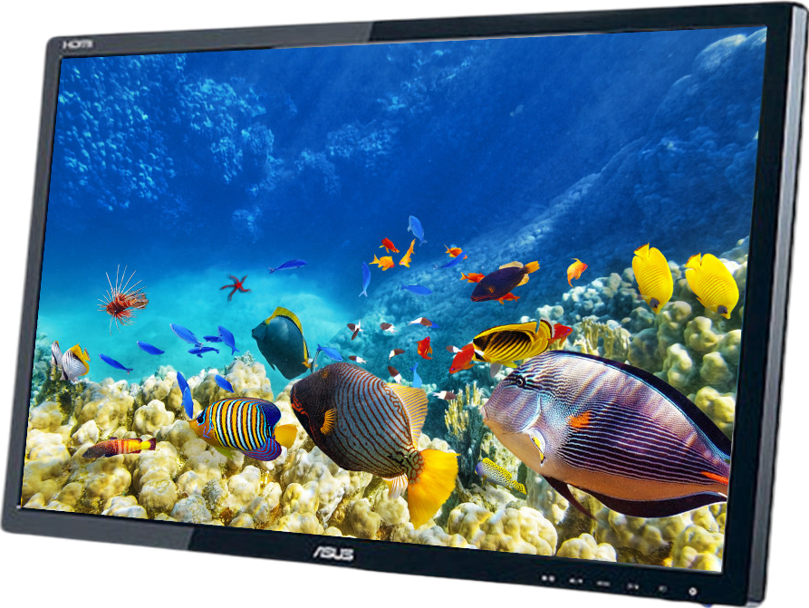 ASUS VE248 24"" Widescreen LCD Monitor  - No Stand - Grade B Refurbished - Asus refurbished available on PCLiquidations