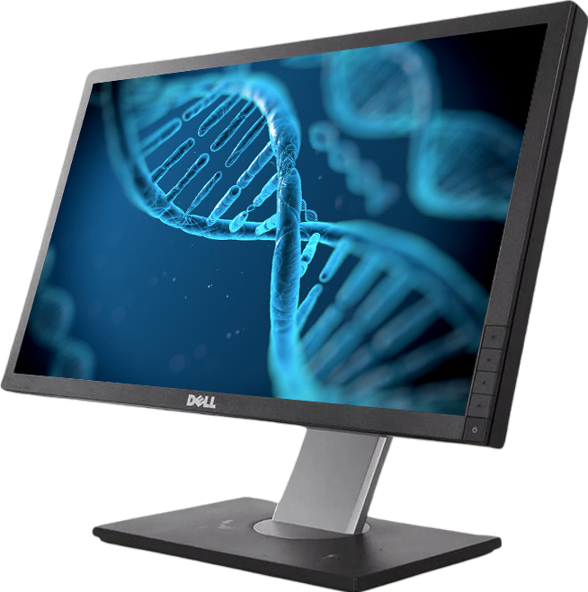 Dell P2412Hb 24"" Widescreen FHD LED LCD Monitor - Grade C Refurbished - Dell refurbished available on PCLiquidations