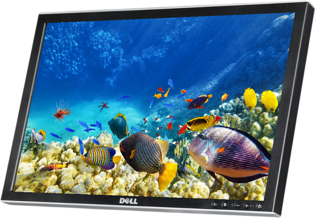 Dell 2009Wt 20"" Widescreen LCD Monitor - No Stand - Grade A Refurbished - Dell refurbished available on PCLiquidations