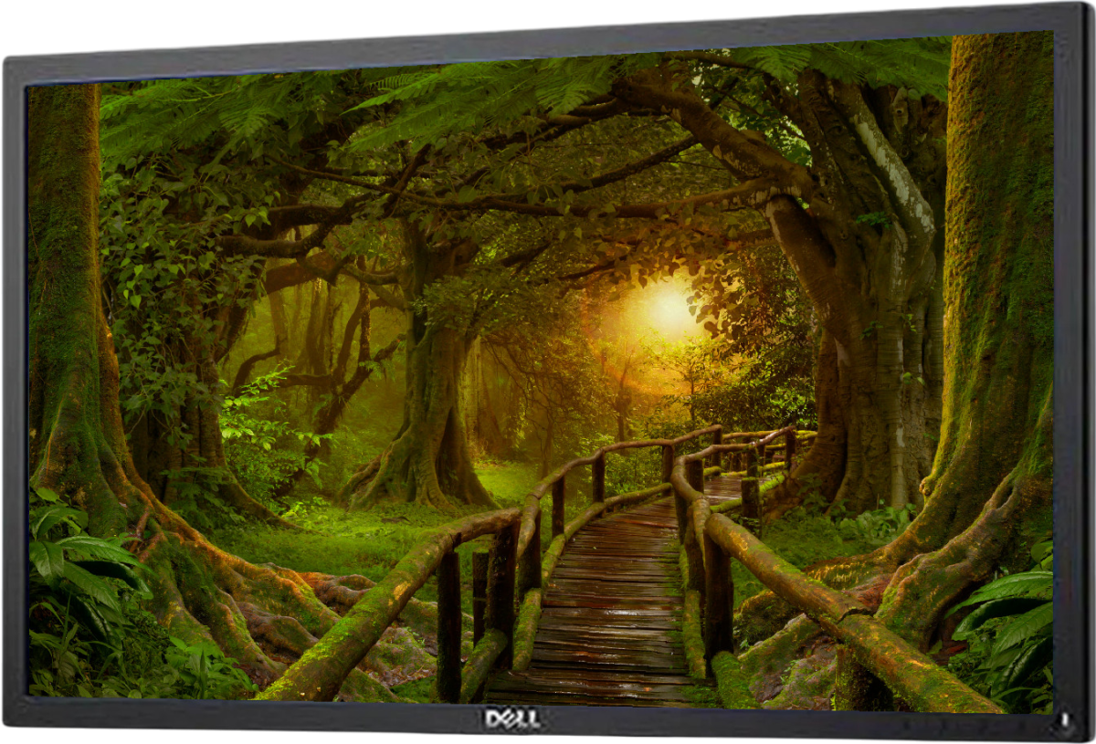 Dell P2011H  20"" Widescreen LCD Monitor - No Stand - Grade B Refurbished - Dell refurbished available on PCLiquidations