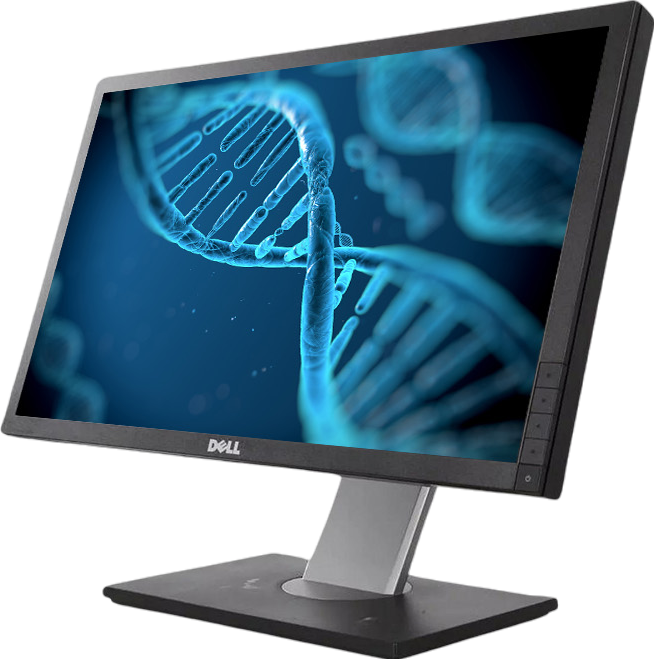 Dell P2412Hb 24"" Widescreen FHD LED LCD Monitor - Grade B Refurbished - Dell refurbished available on PCLiquidations