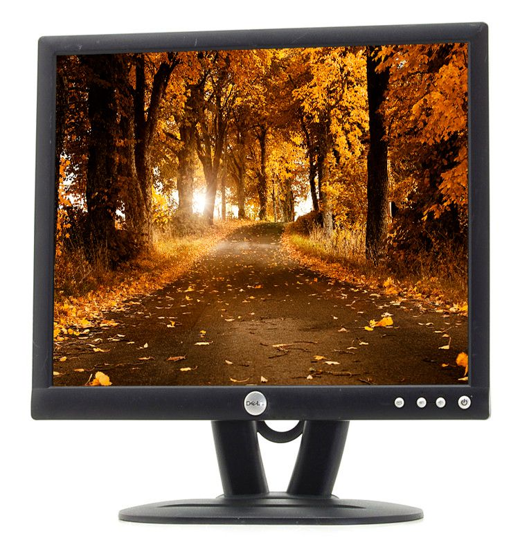 Dell E193FP - Grade B 19"" LCD Monitor Refurbished - Dell refurbished available on PCLiquidations