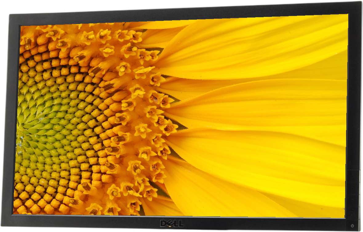 Dell E2011H 20"" Widescreen LED LCD Monitor - No Stand  - Grade C Refurbished - Dell refurbished available on PCLiquidations
