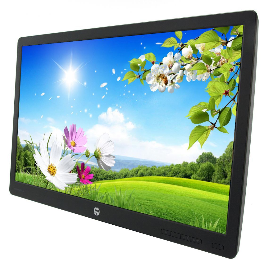 HP ProDisplay P242va 24"" LED LCD Widescreen Monitor - No Stand Grade C Refurbished - Hewlett-Packard (ou HP en abrégé) refurbished available on PCLiquidations